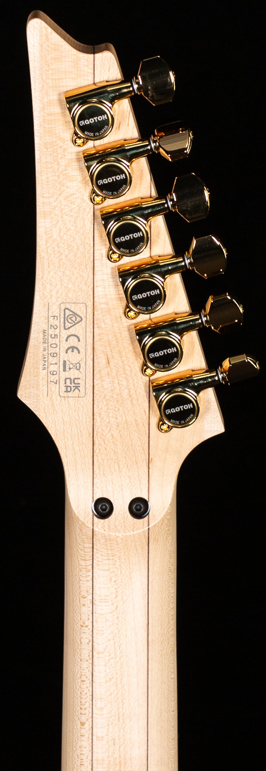 Ibanez Steve Vai Signature PIA3761XB Onyx Black (197)