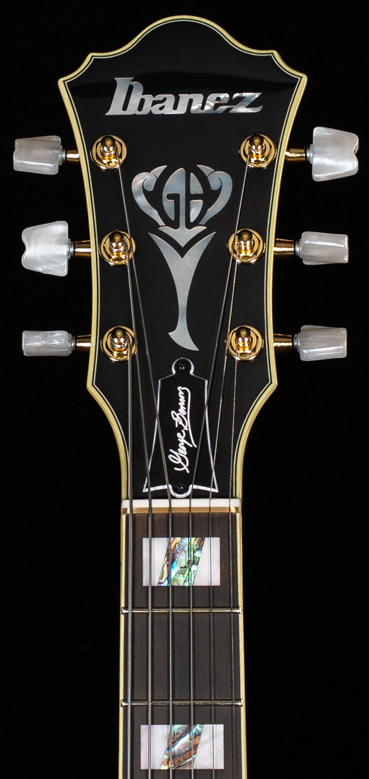 Ibanez George Benson Signature GB10 Hollowbody Black (310)