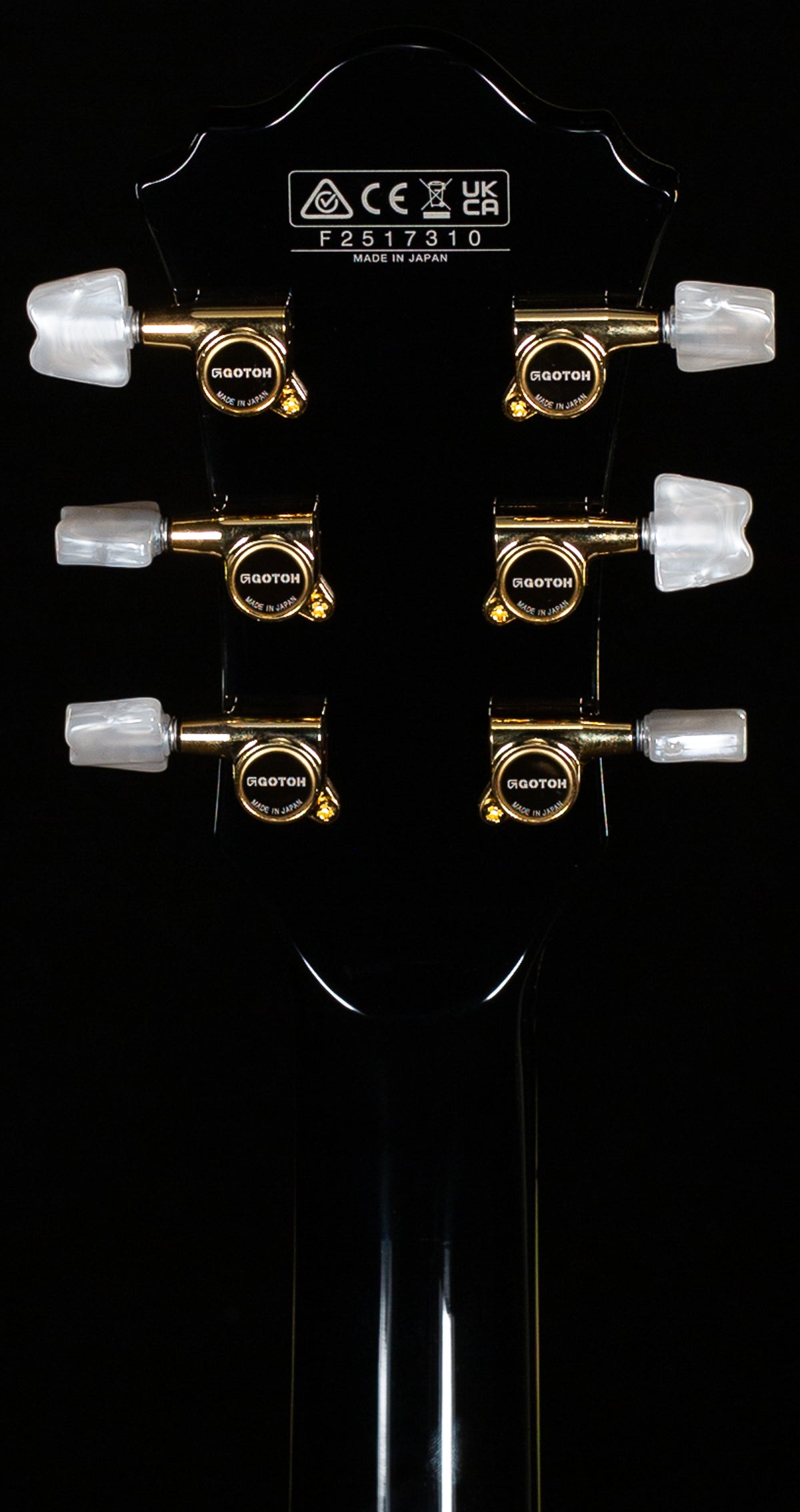 Ibanez George Benson Signature GB10 Hollowbody Black (310)