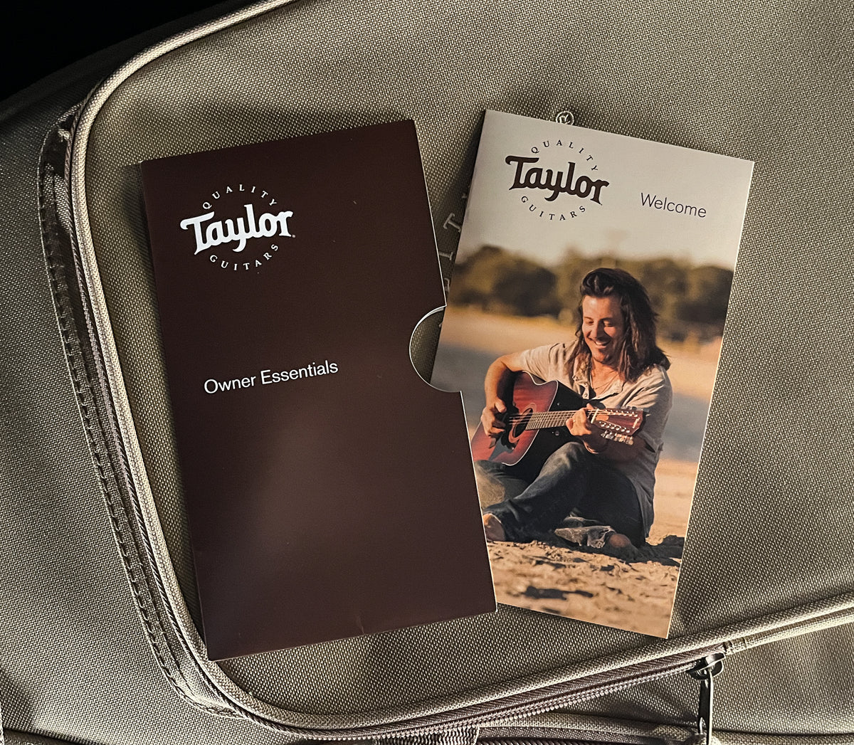 Taylor GS Mini-E LTD Ovangkol