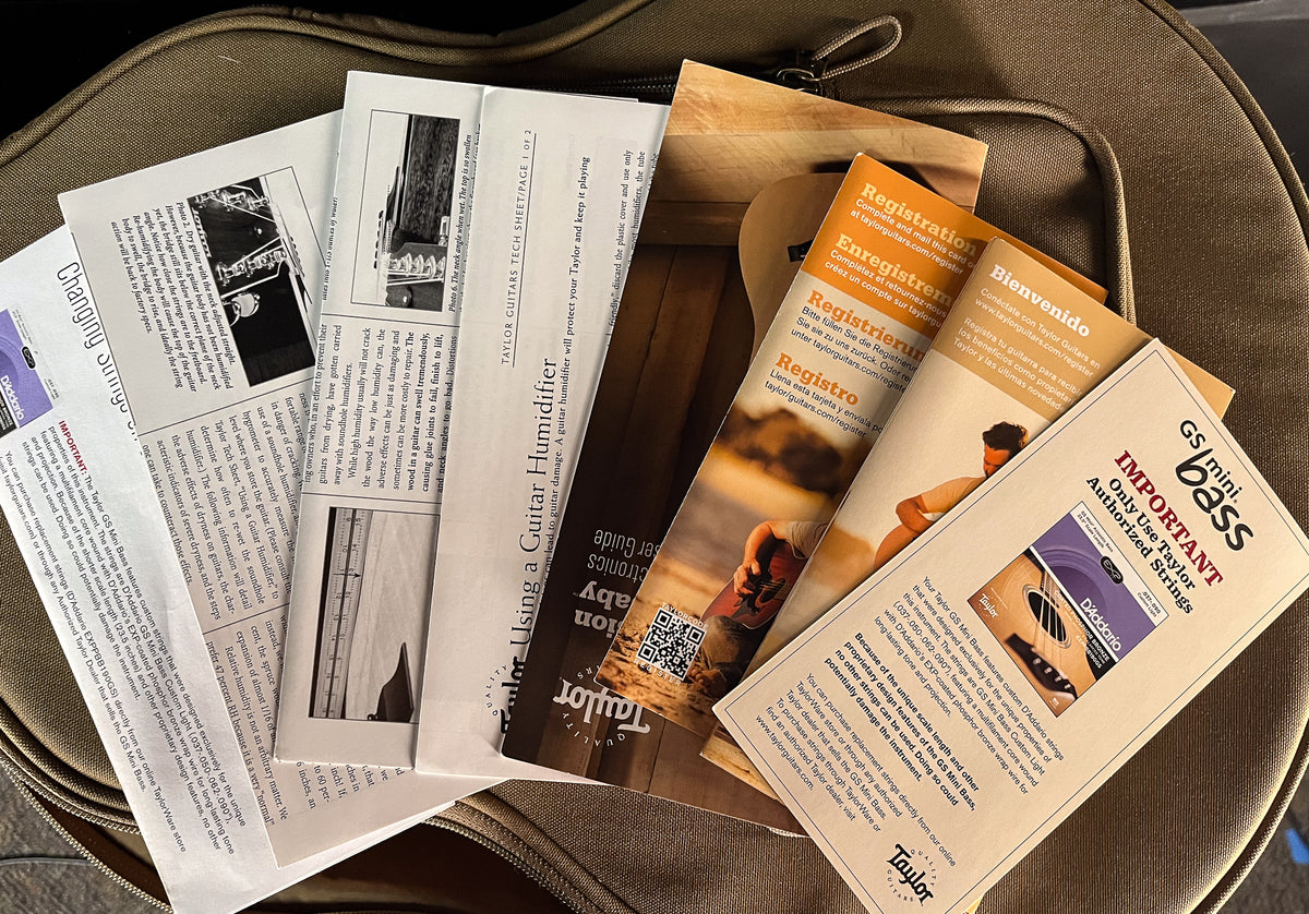 2017 Taylor GS Mini-e Bass