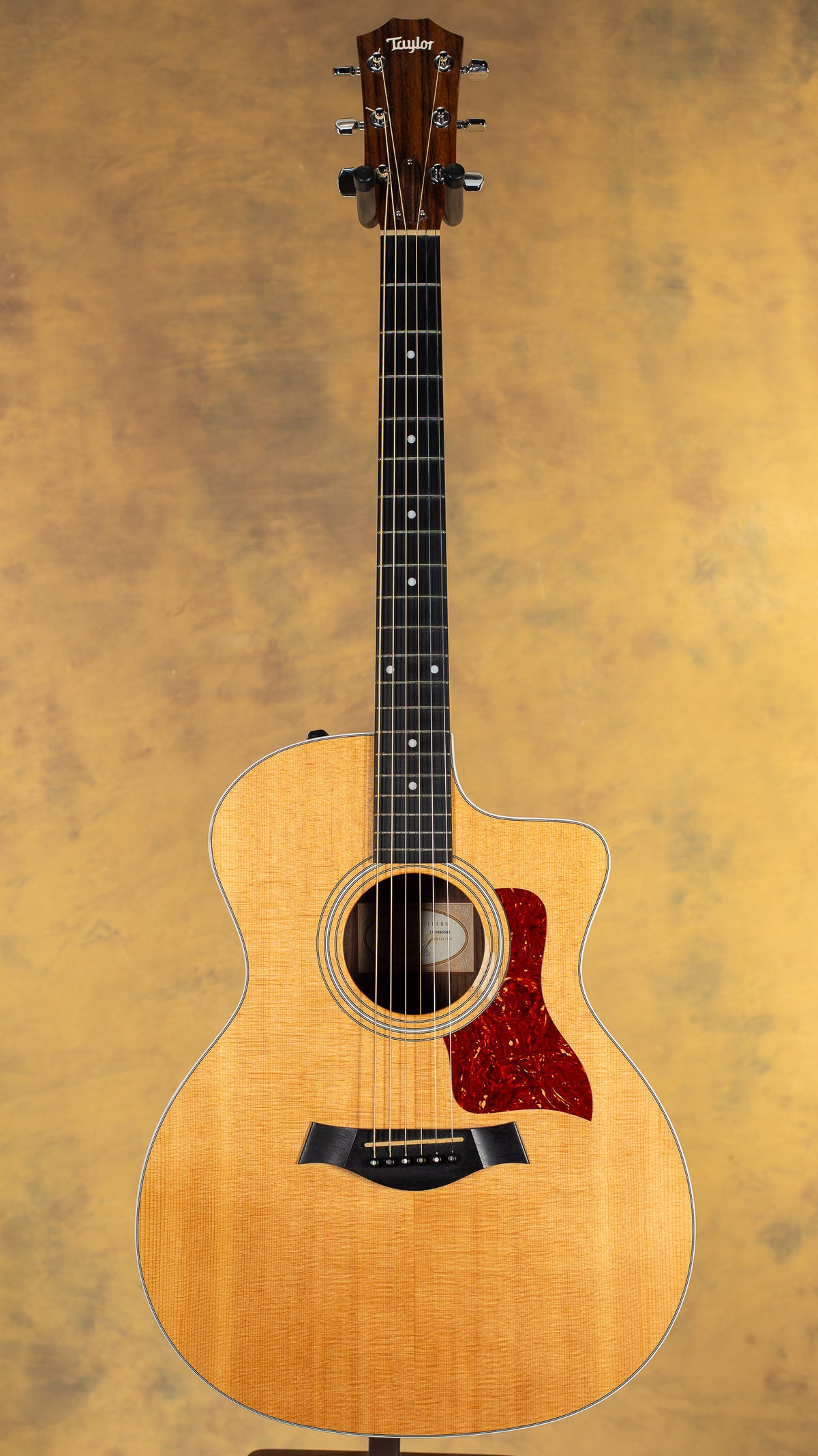 2013 Taylor Fall Limited 214ce Acoustic Electric Guitar