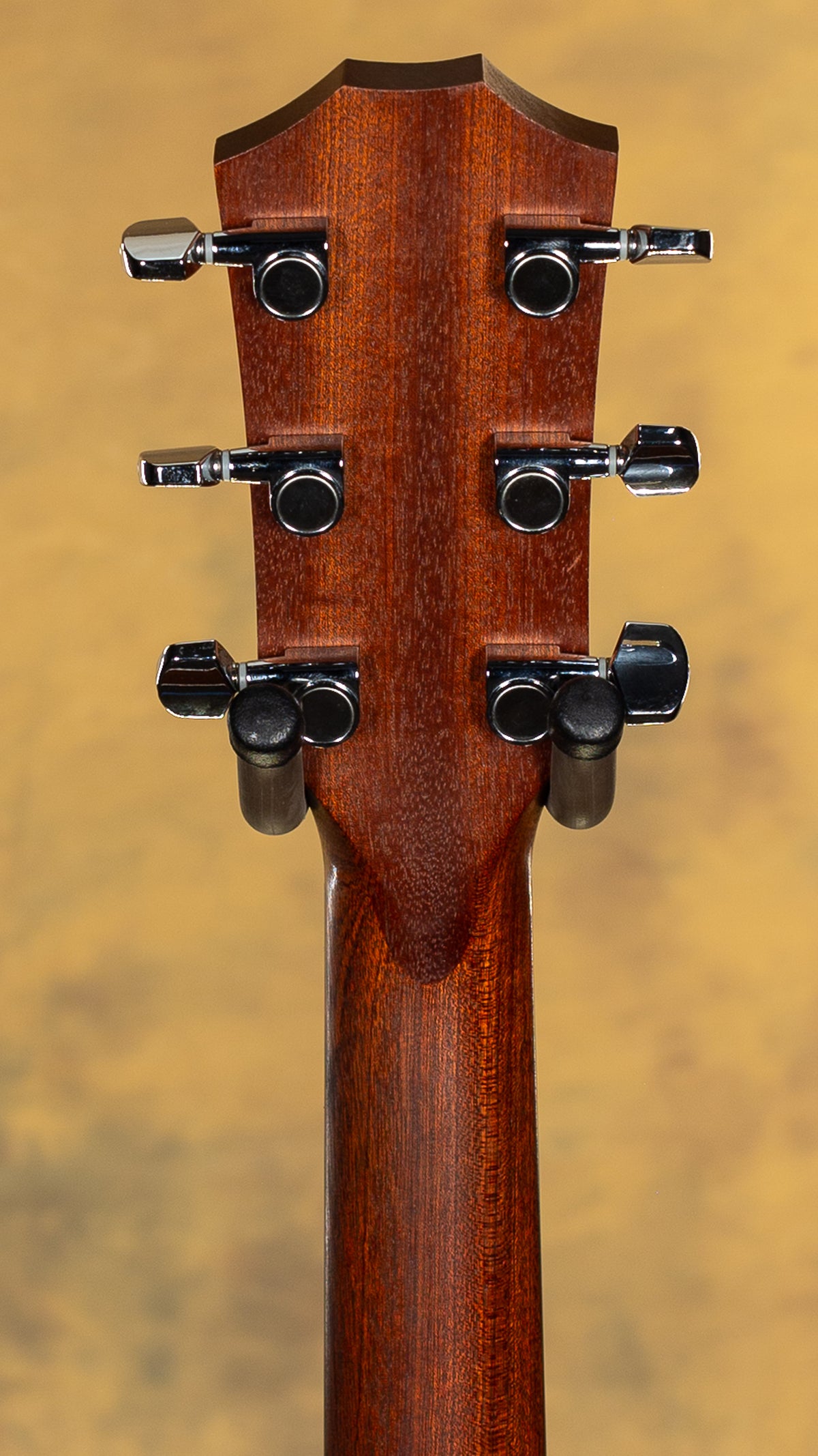 2013 Taylor Fall Limited 214ce Acoustic Electric Guitar