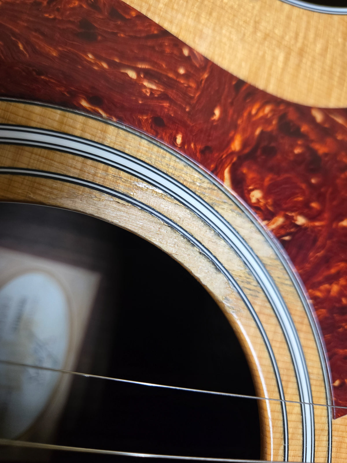 2013 Taylor Fall Limited 214ce Acoustic Electric Guitar