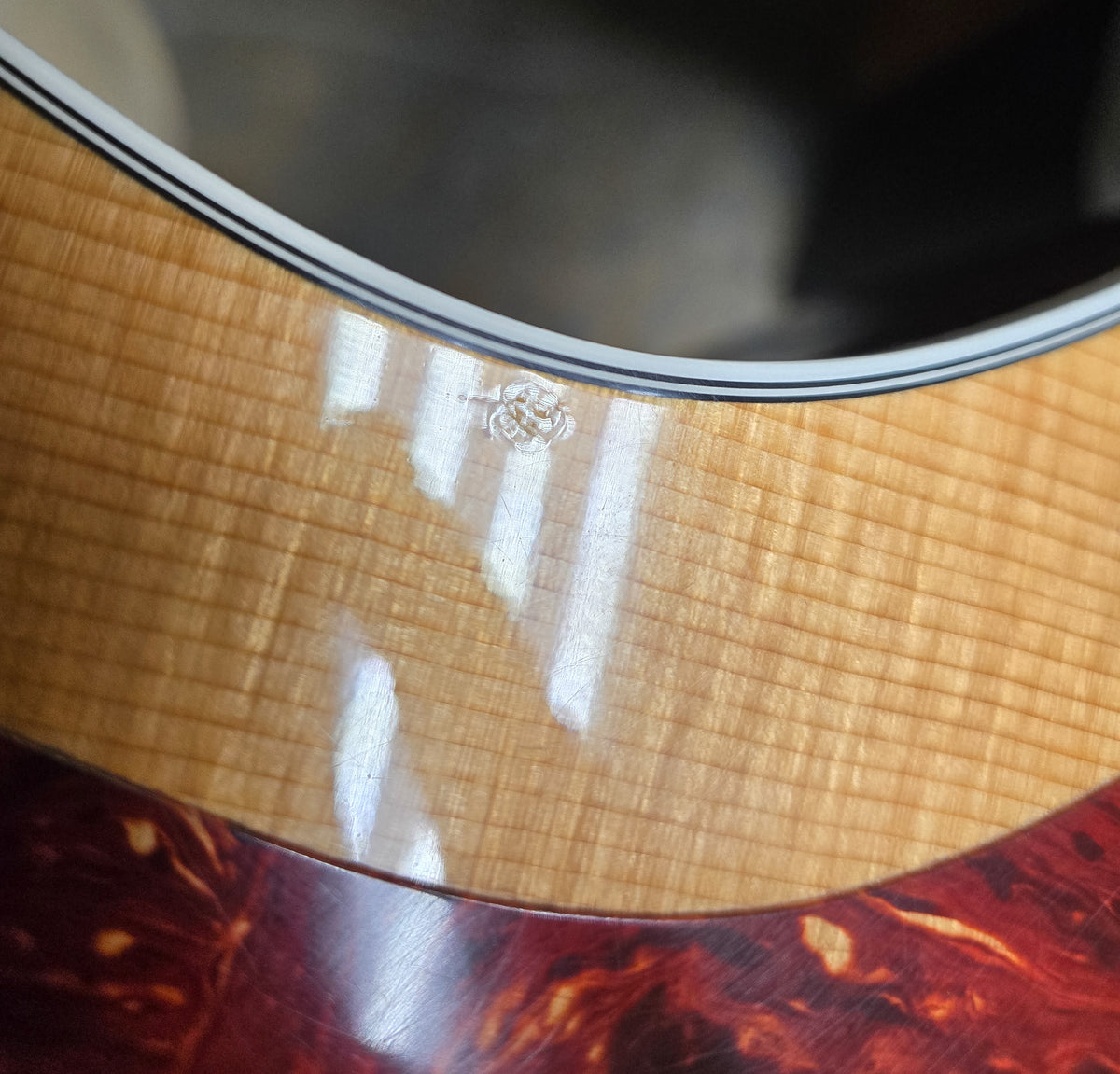 2013 Taylor Fall Limited 214ce Acoustic Electric Guitar