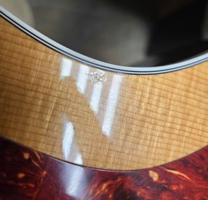 2013 Taylor Fall Limited 214ce Acoustic Electric Guitar