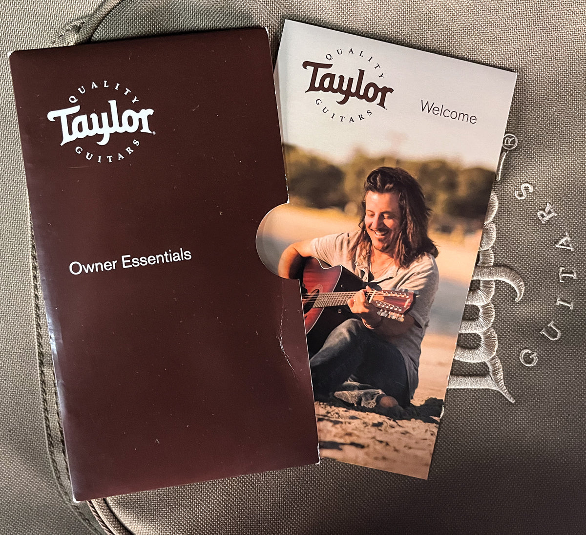 2019 Taylor 114e Acoustic Electric Guitar