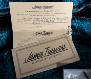 2022 Trussart SteelDeville Antique Silver Snake Skin