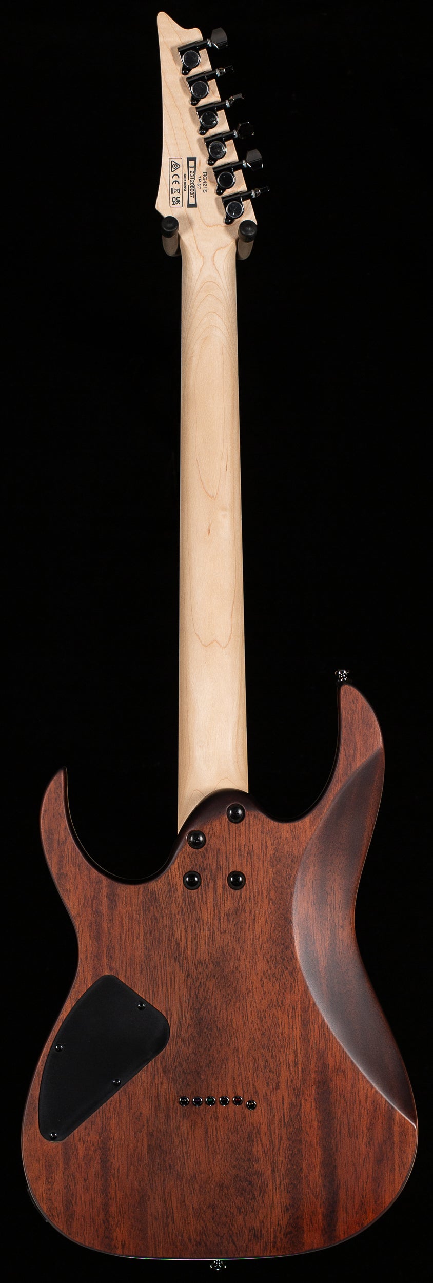 Ibanez RG421S Sea Shore Matte (037) - Willcutt Guitars