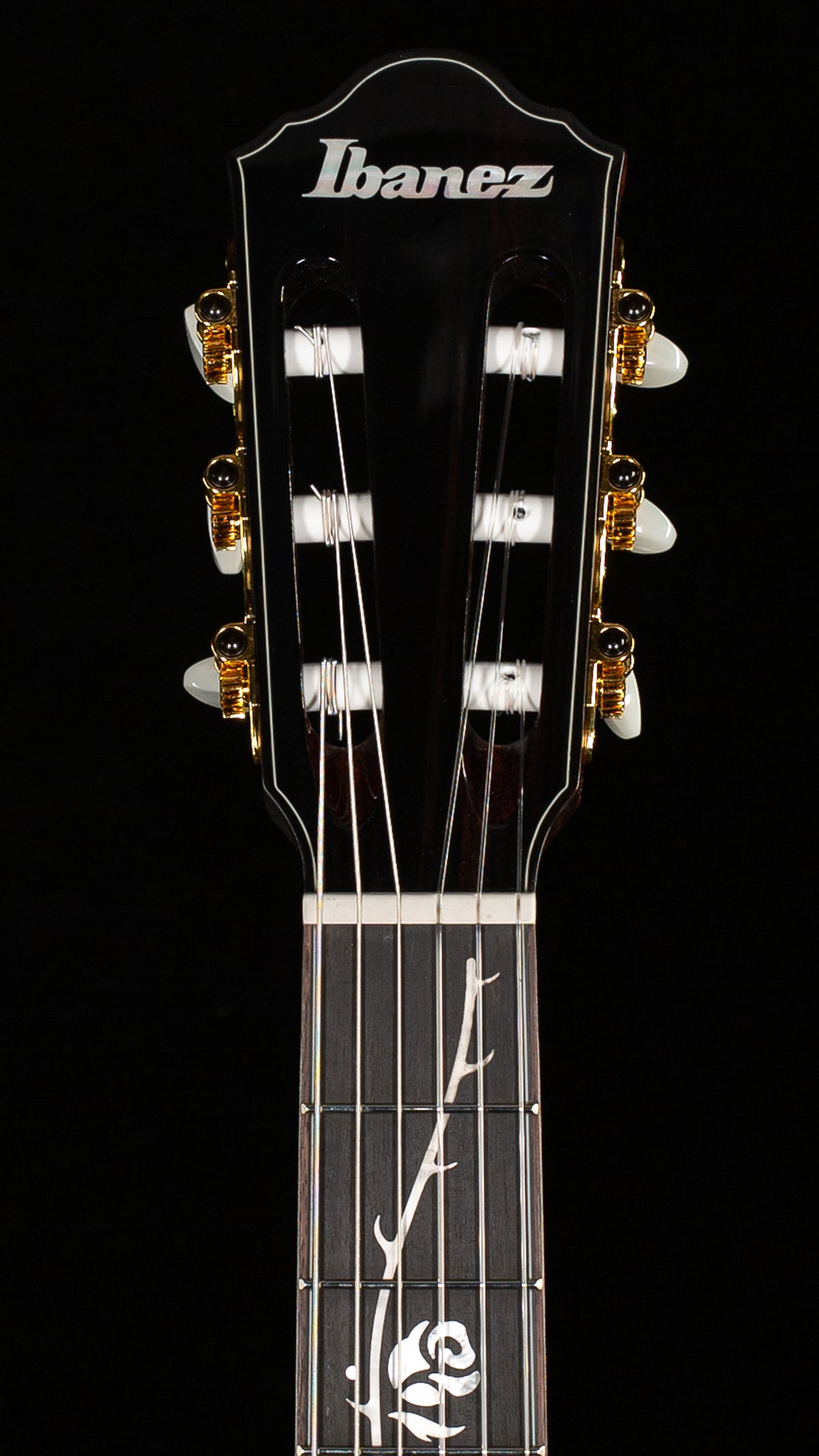 Ibanez TOD100N Tim Henson Signature Nylon-String (030)