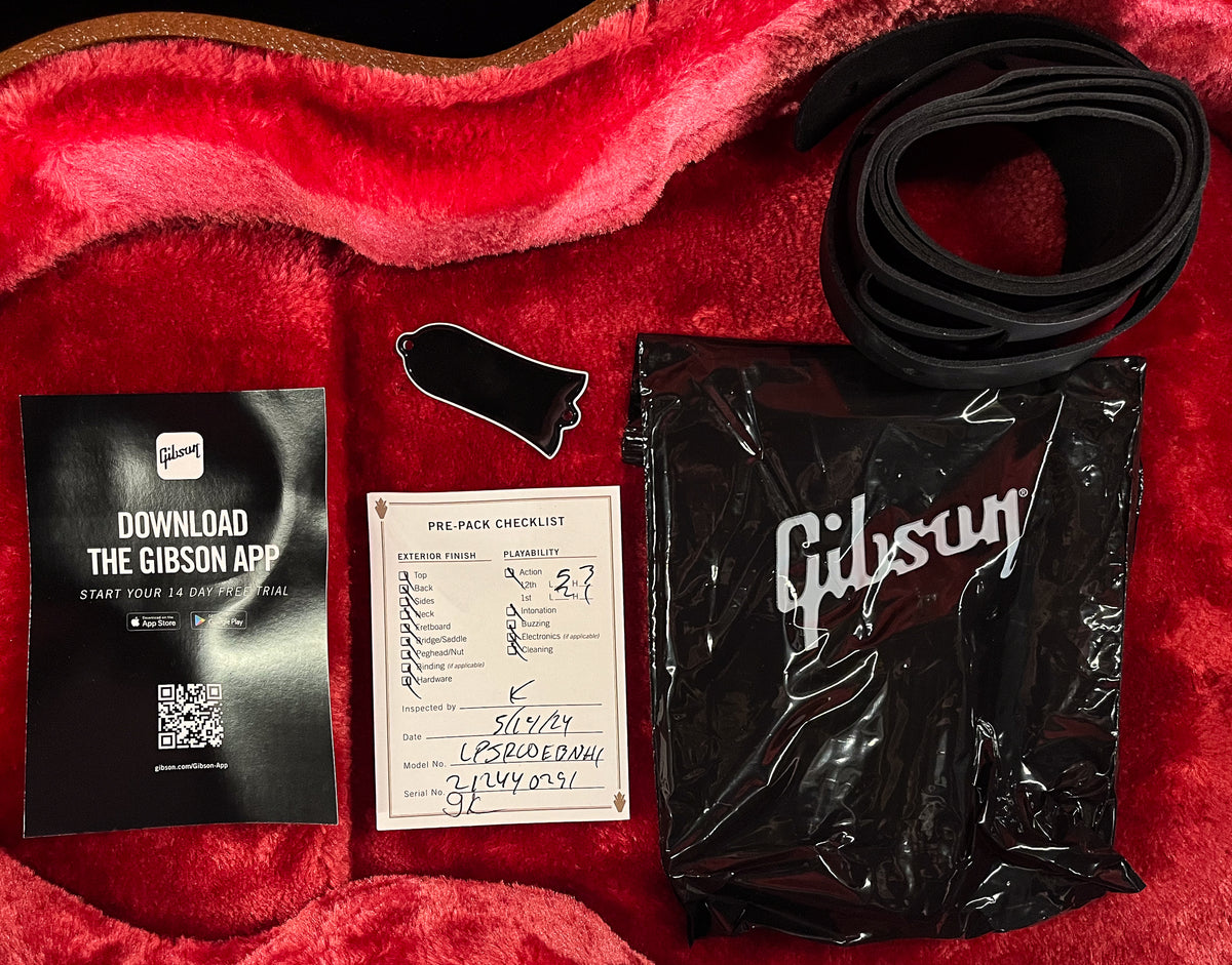 Gibson Les Paul Junior Ebony (291)