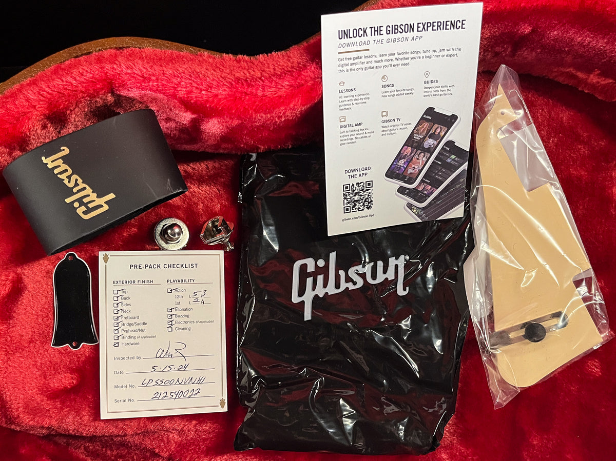 Gibson Slash Les Paul Standard November Burst (022)