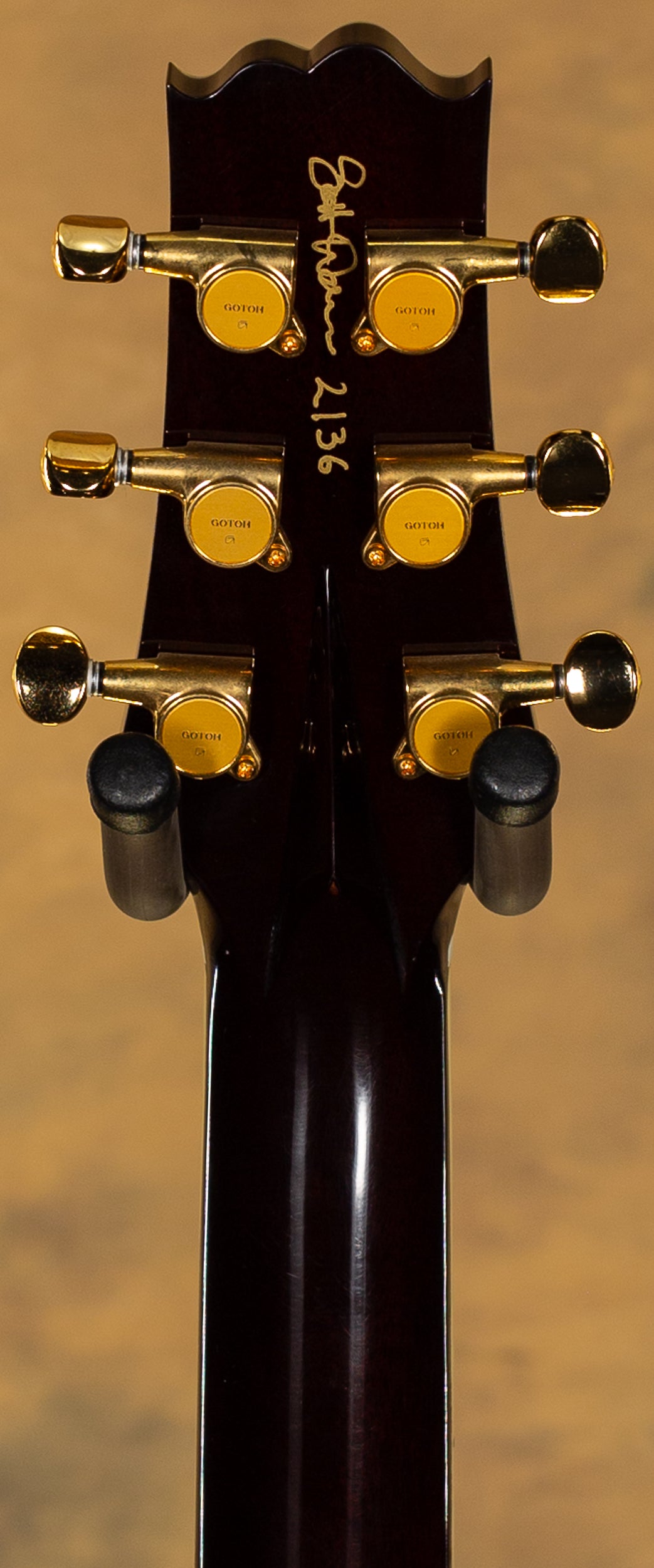 2008 Scott Walker Special Cocobolo Top