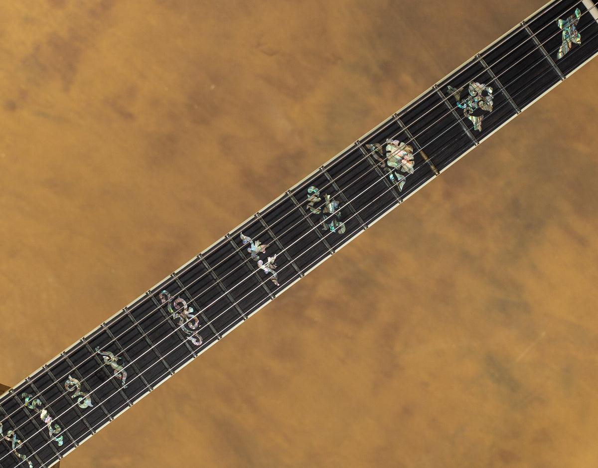 2008 Scott Walker Special Cocobolo Top