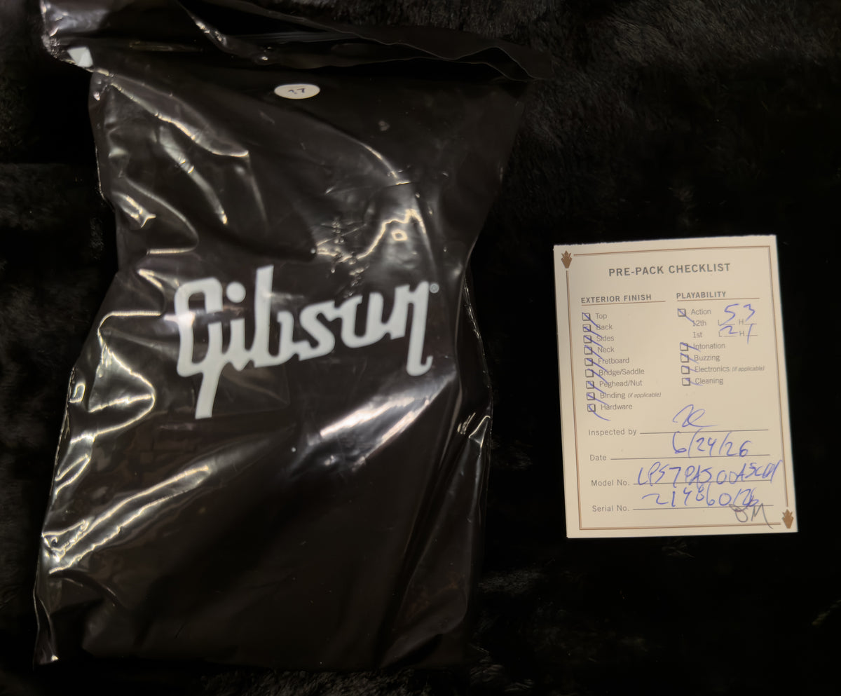 Gibson Adam Jones Les Paul Standard Silverburst (126)