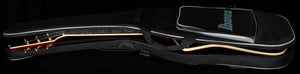 Ibanez IC420GD Iceman Goldtop (290)