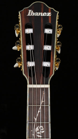 Ibanez TOD10N Tim Henson Signature Nylon-string Acoustic-Electric Black (994)