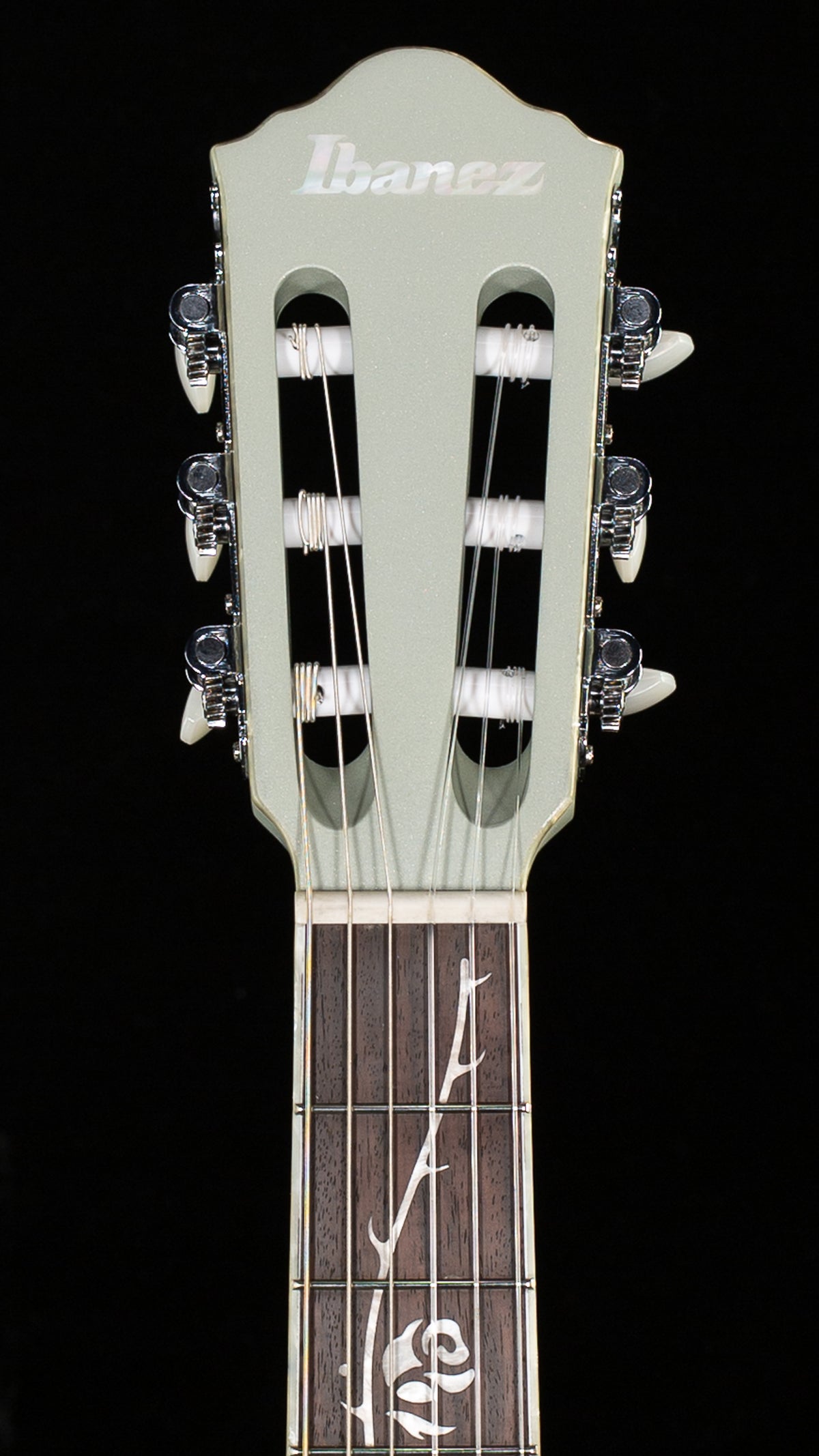Ibanez TOD10N Tim Henson Signature Nylon Acoustic-Electric Silver Metallic Flat (236)
