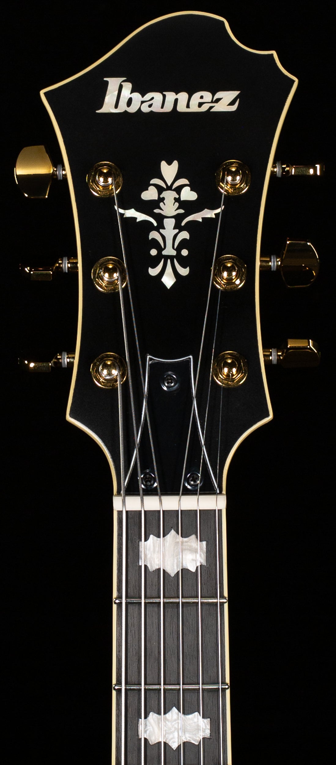 Ibanez PM3CBKL Pat Metheny Signature Hollowbody Black Low Gloss (437)