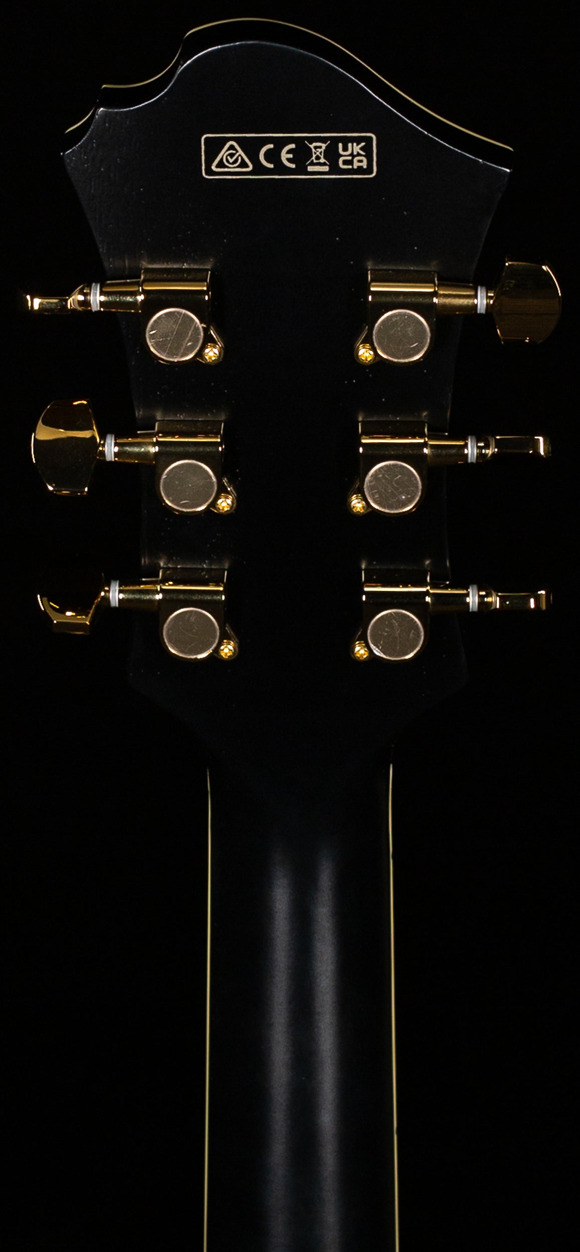 Ibanez PM3CBKL Pat Metheny Signature Hollowbody Black Low Gloss (437)