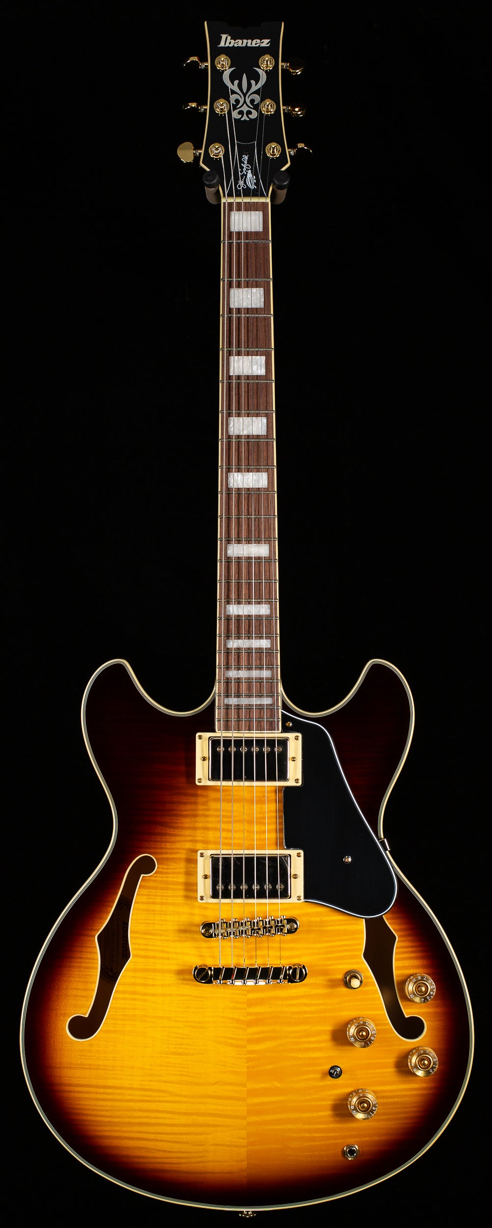 Ibanez JSM10EMTTB John Scofield Signature 2-Tone Burst (677)