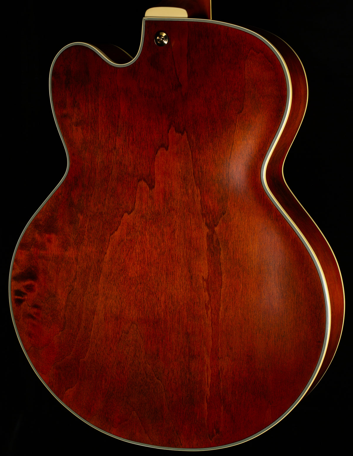 Ibanez PM3CNAL Pat Metheny Signature Hollowbody Natural Amber Low Gloss (430)