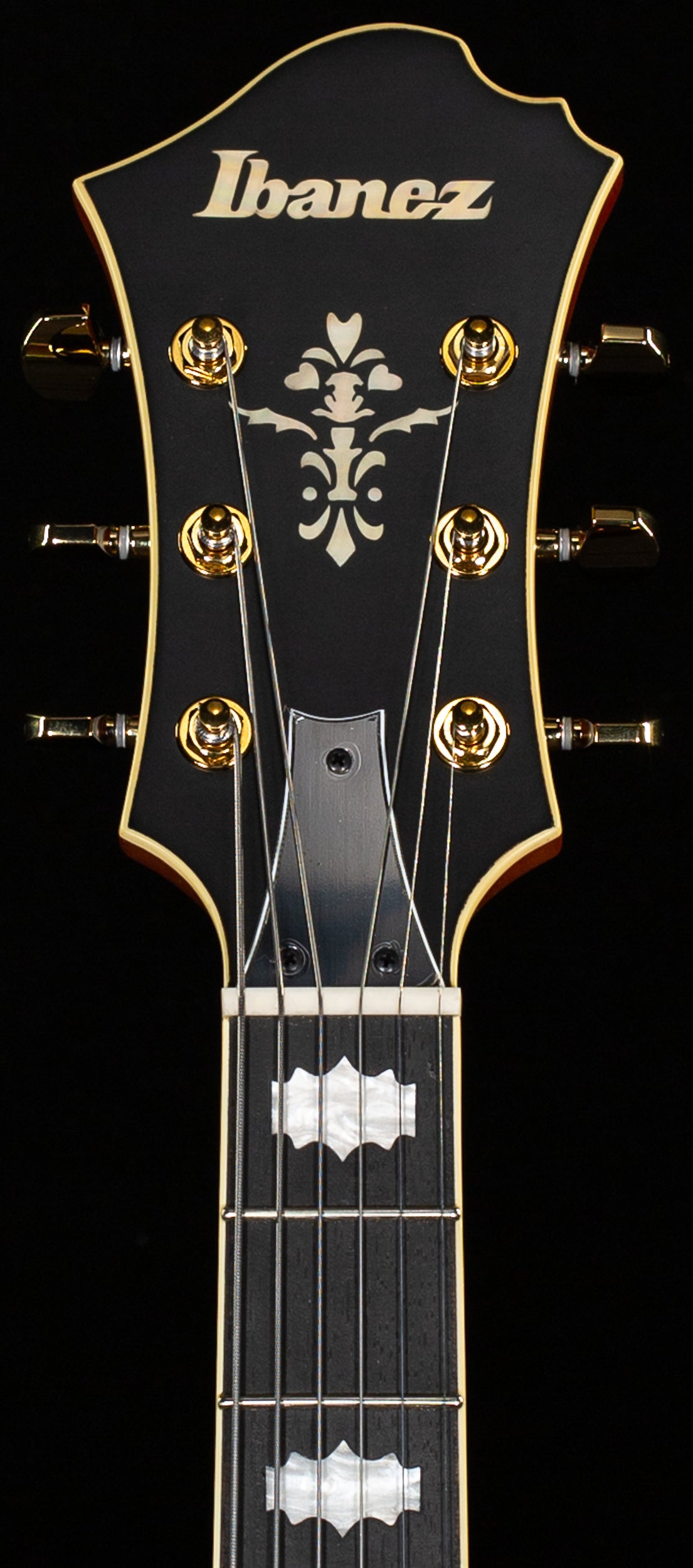 Ibanez PM3CNAL Pat Metheny Signature Hollowbody Natural Amber Low Gloss (430)