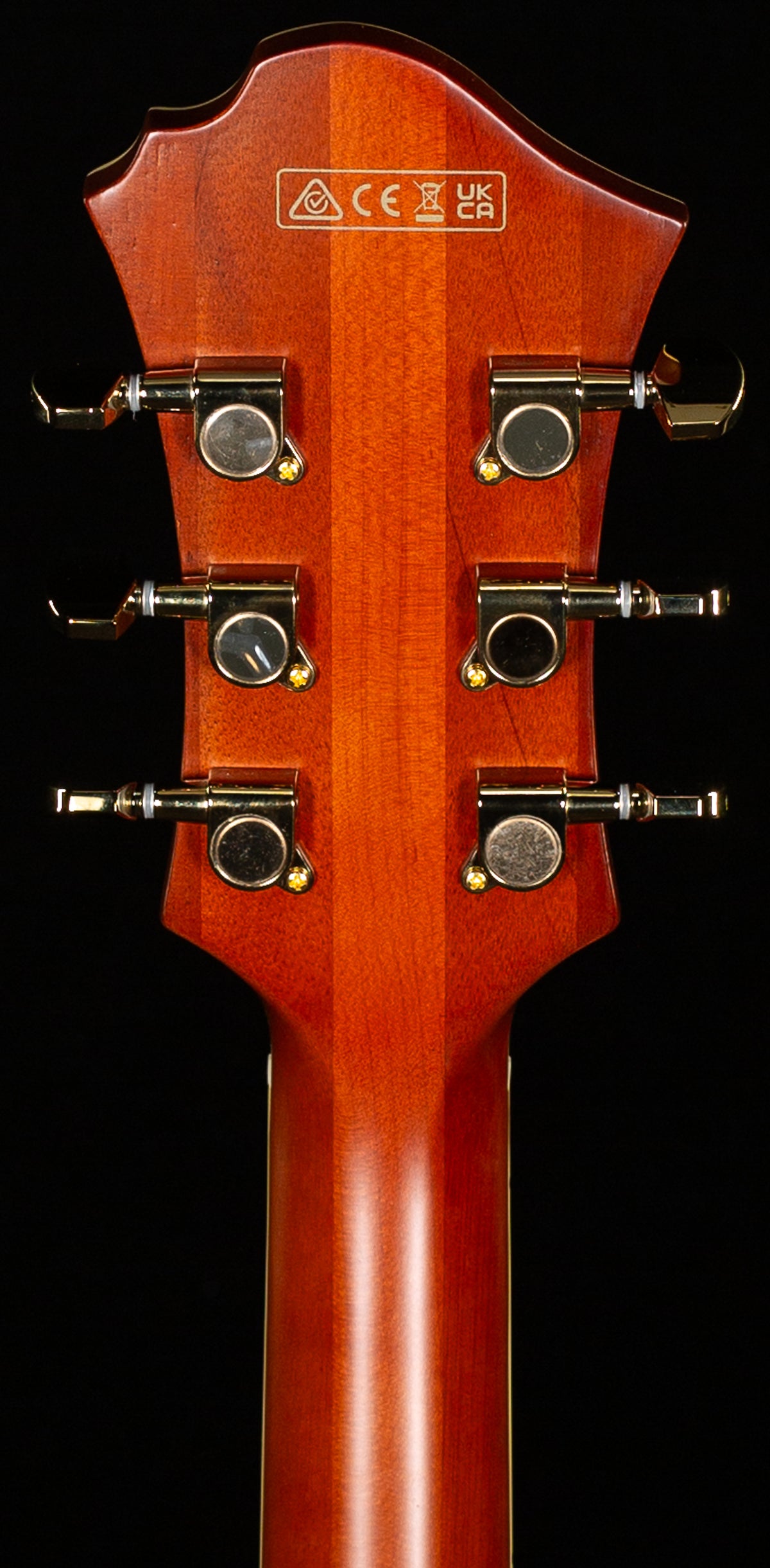 Ibanez PM3CNAL Pat Metheny Signature Hollowbody Natural Amber Low Gloss (430)