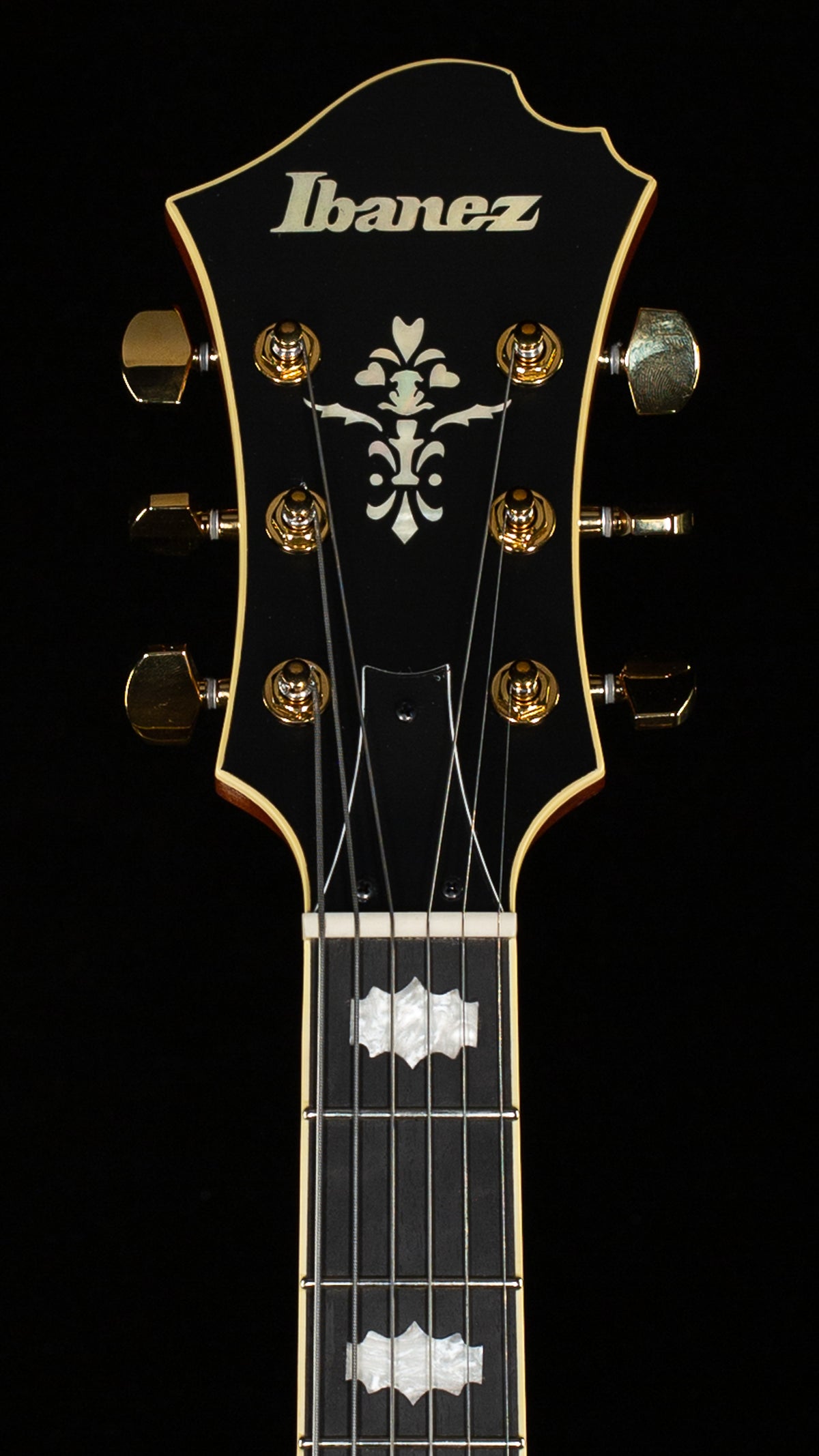 Ibanez PM3CNAL Pat Metheny Signature Hollowbody Natural Amber Low Gloss (558)