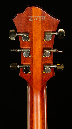 Ibanez PM3CNAL Pat Metheny Signature Hollowbody Natural Amber Low Gloss (558)