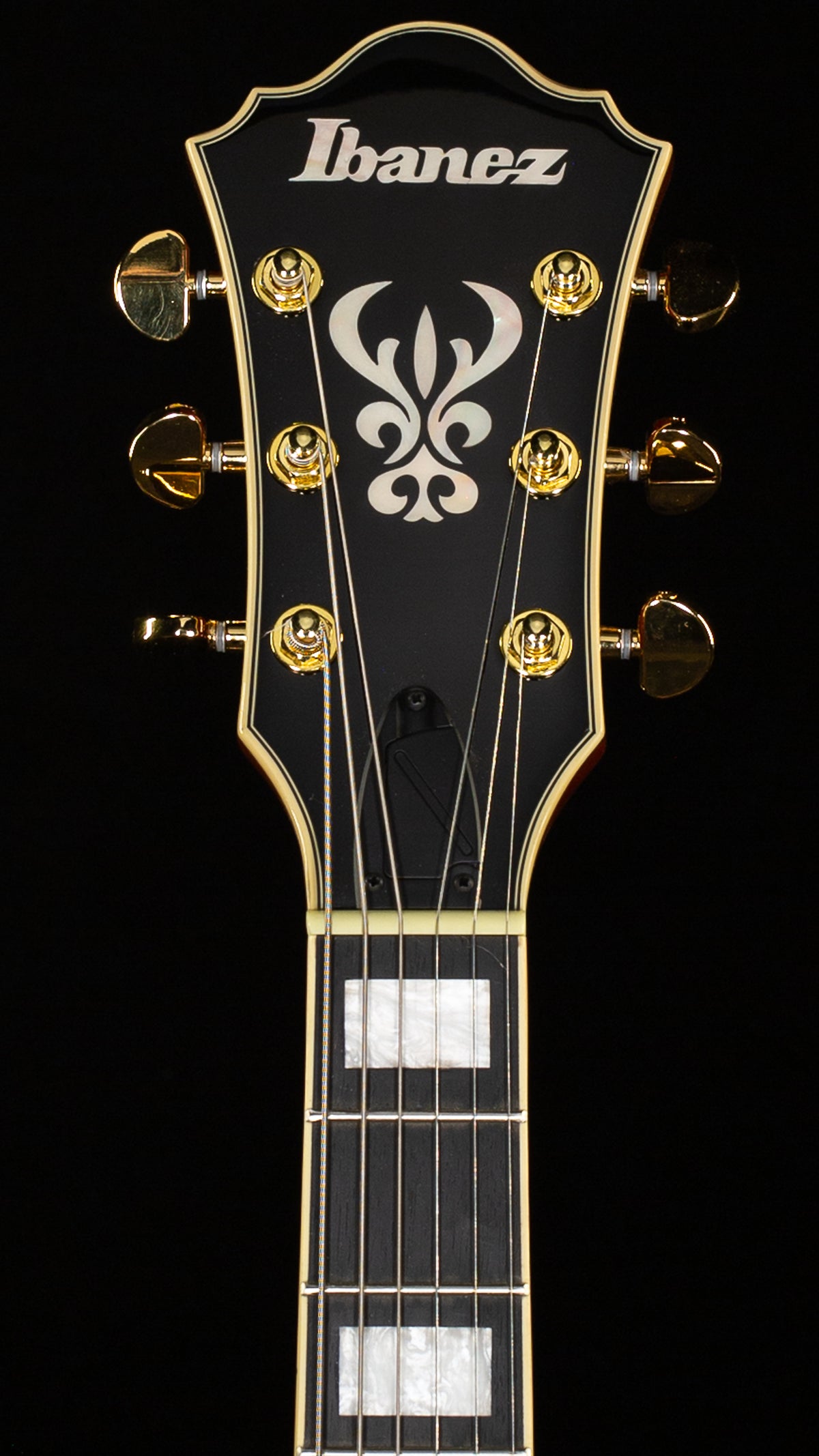 Ibanez Artcore Expressionist AG95MG Hollowbody Dark Amber (491)