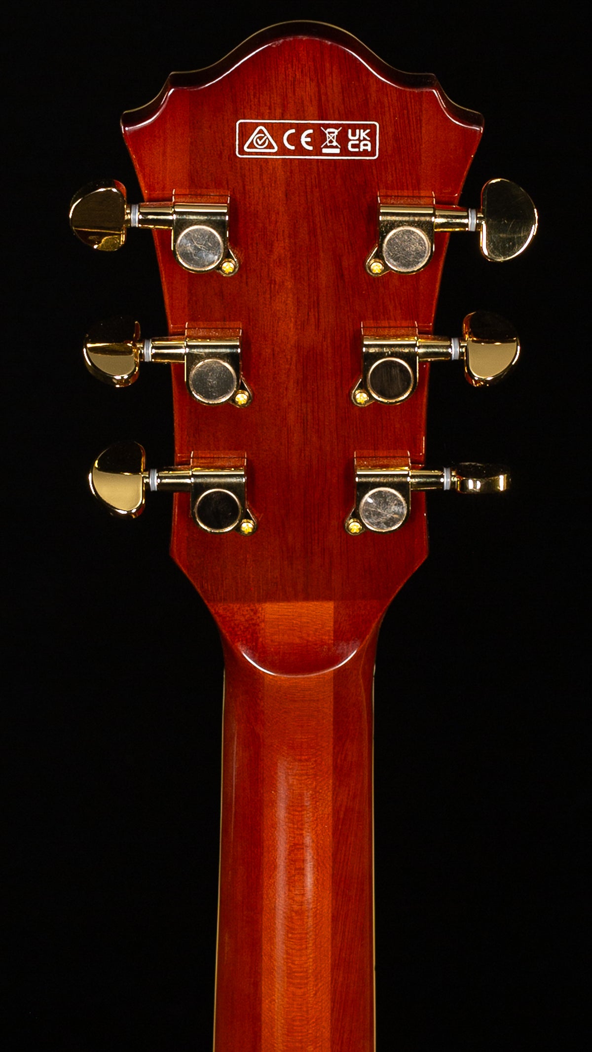 Ibanez Artcore Expressionist AG95MG Hollowbody Dark Amber (491)