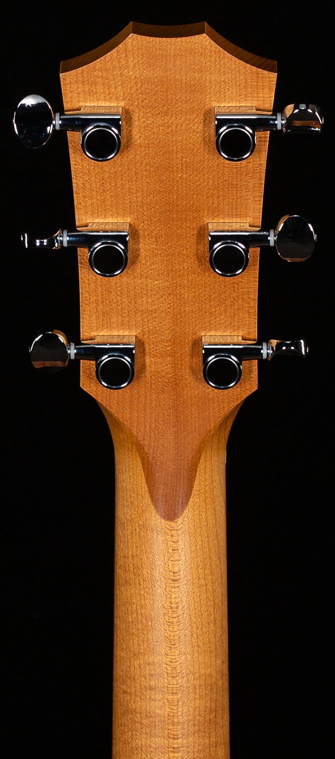 Taylor 24ce LTD Sapele/Mahogany ESB (089)
