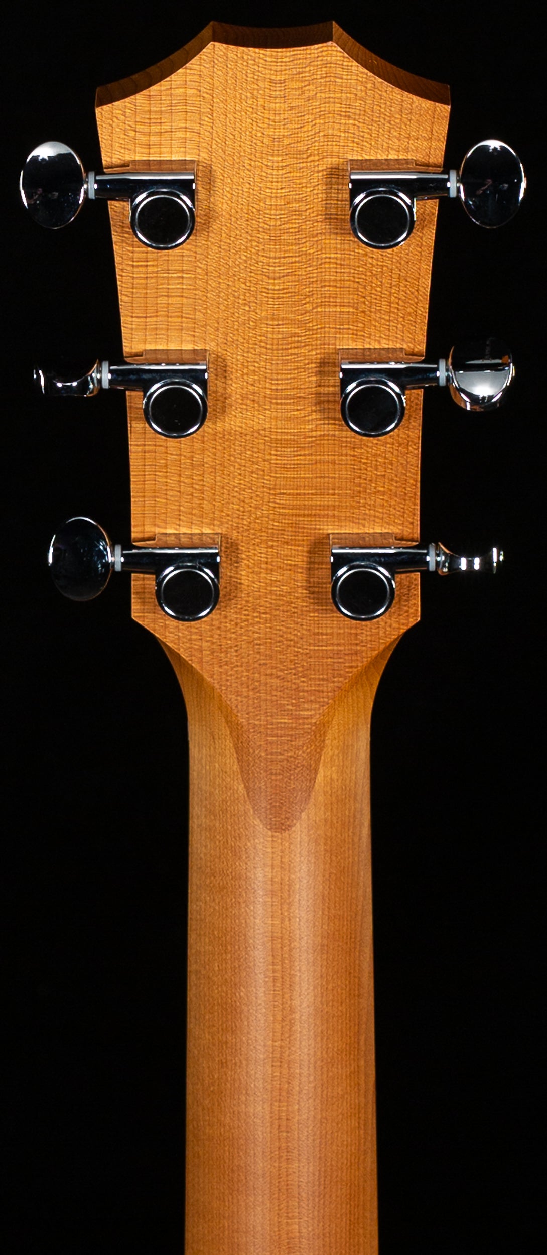 Taylor 24ce LTD Sapele/Mahogany ESB (091)