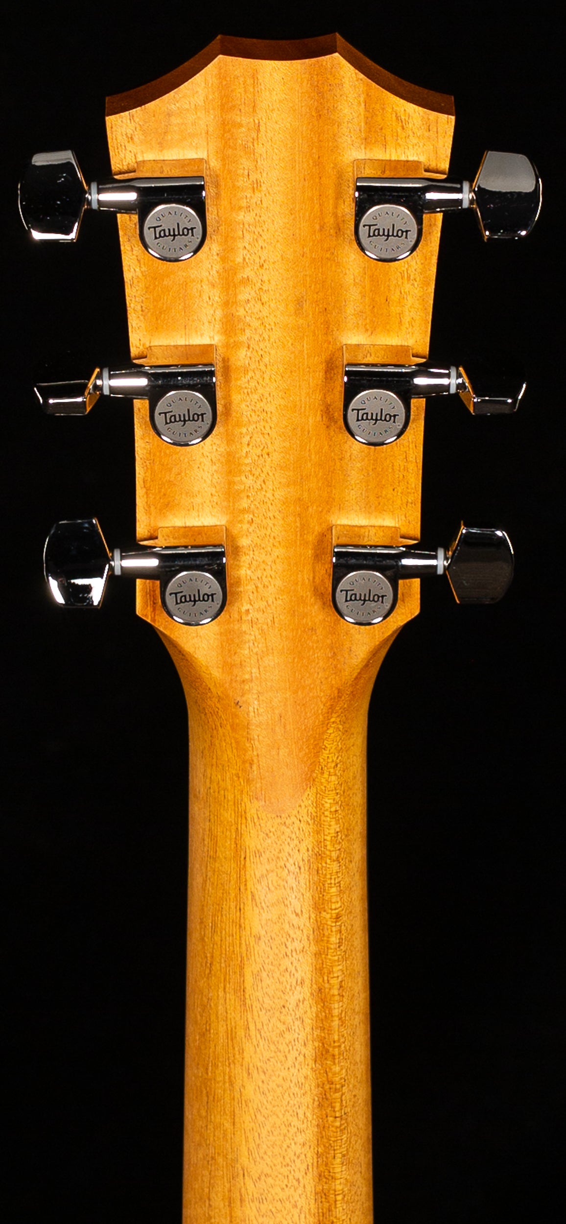 Taylor 212ce Plus Rosewood/Spruce (403)