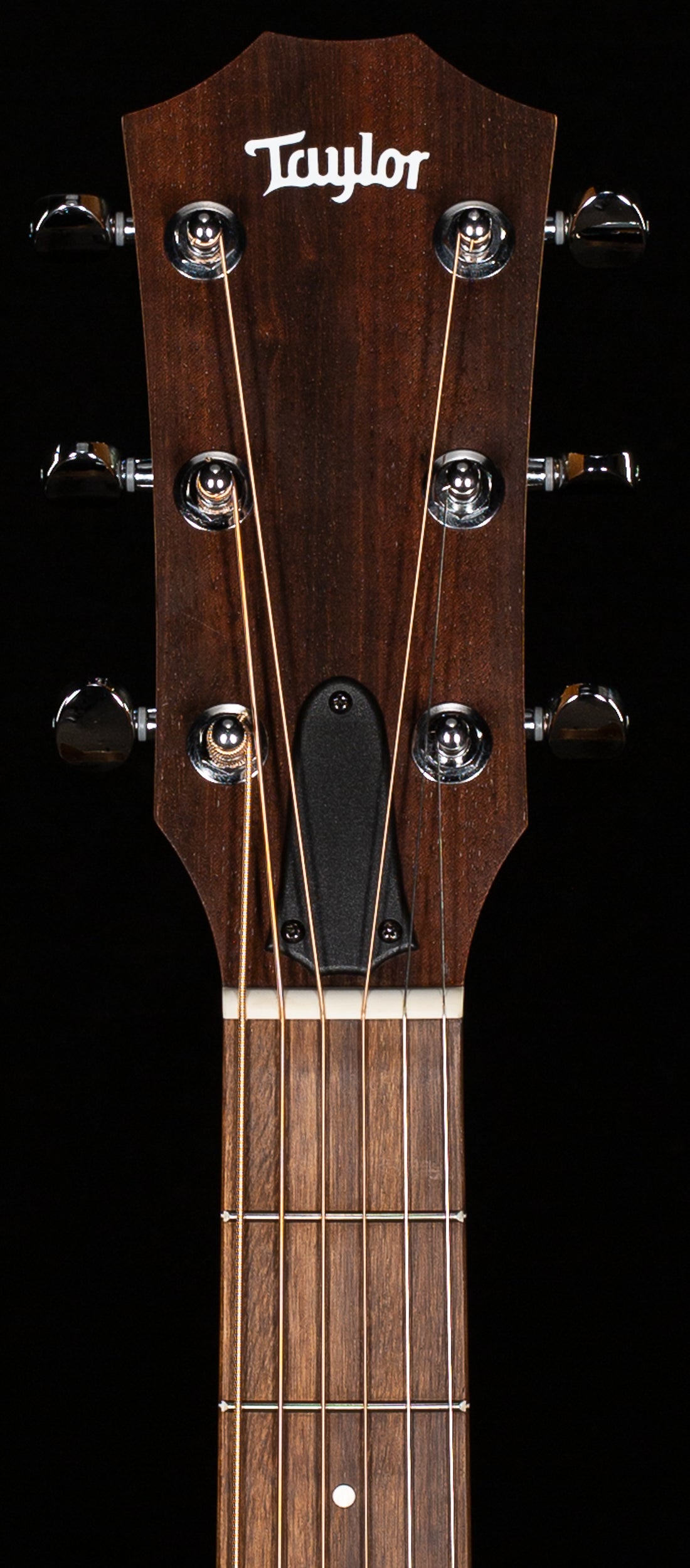 Taylor Big Baby Taylor Walnut (258)