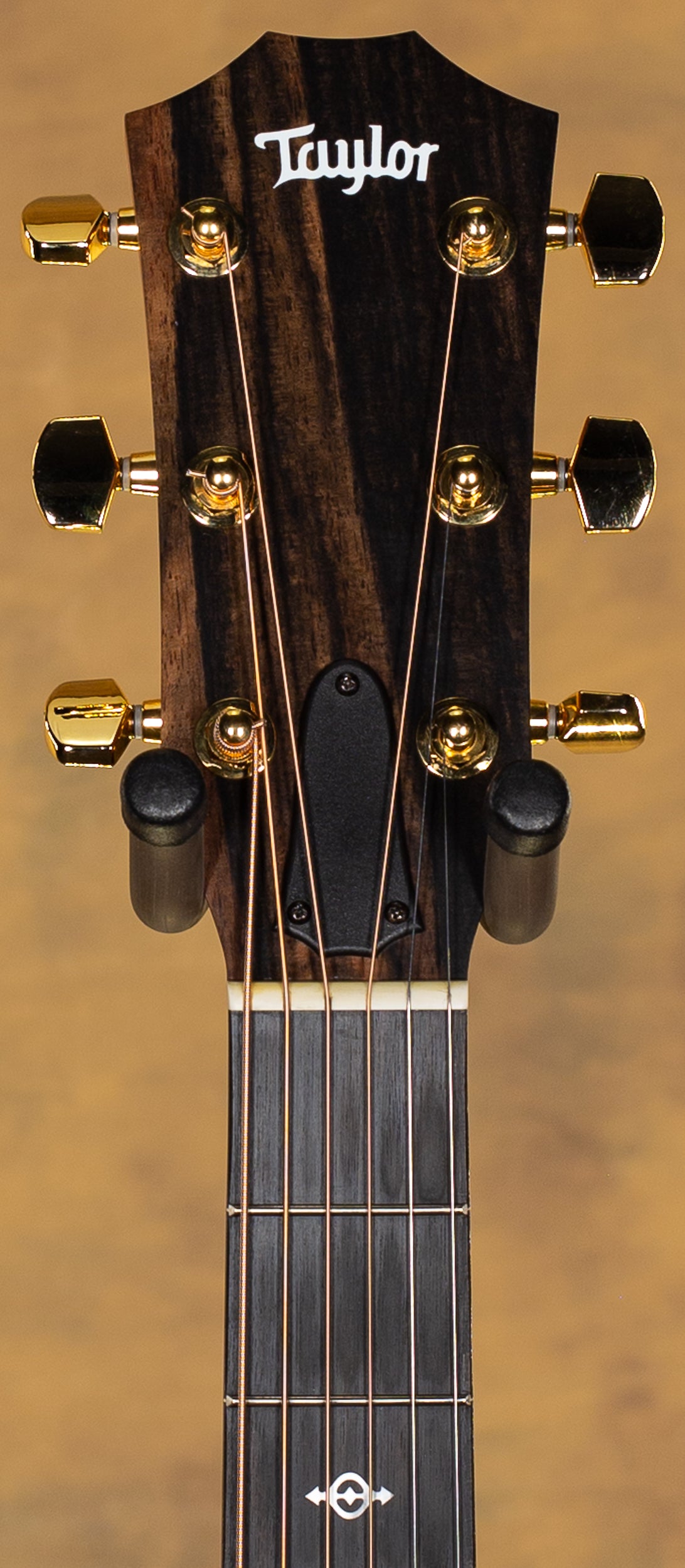 2025 Taylor 224ce-K DLX Koa Acoustic Guitar