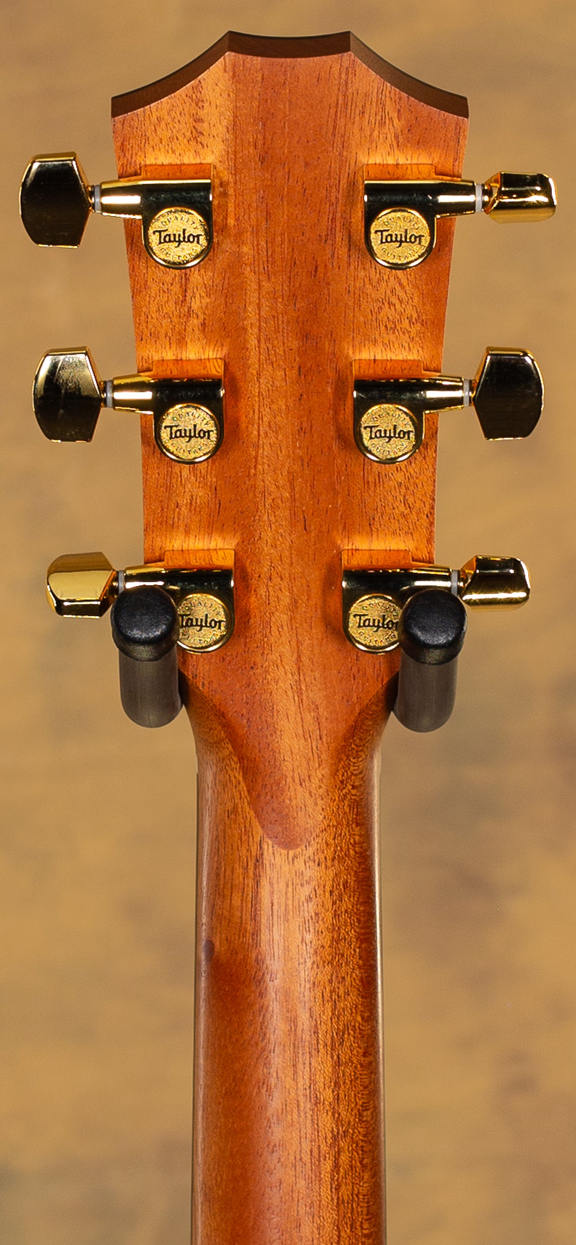 2025 Taylor 224ce-K DLX Koa Acoustic Guitar