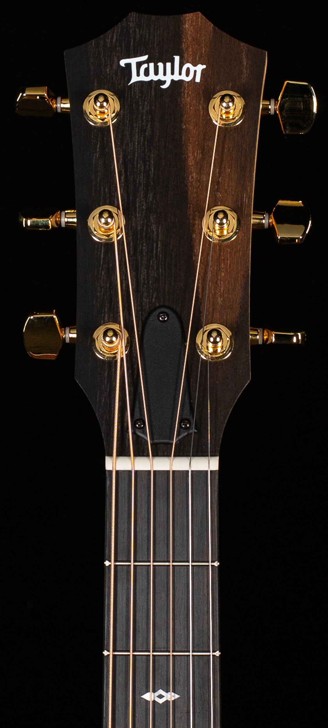 taylor-guitars-214ce-special-