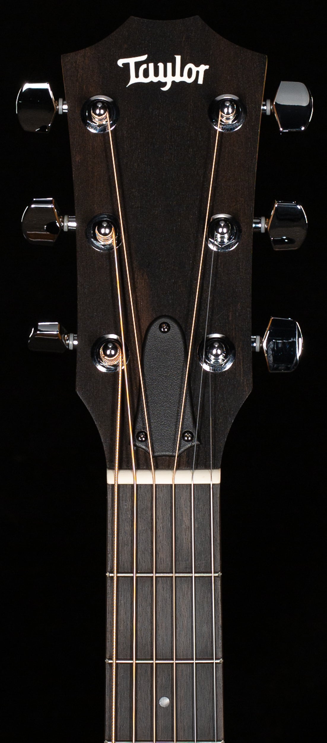 Taylor 212ce Walnut/Spruce (249)