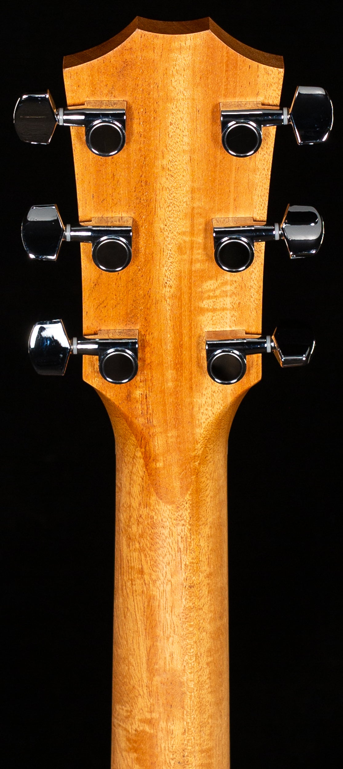 Taylor 212ce Walnut/Spruce (249)
