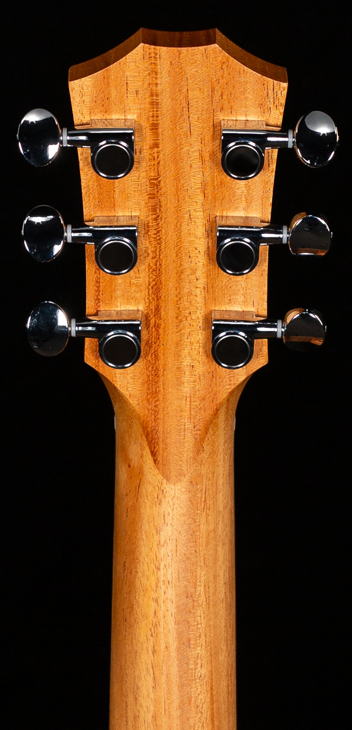 Taylor GS Mini E Mahogany (362)