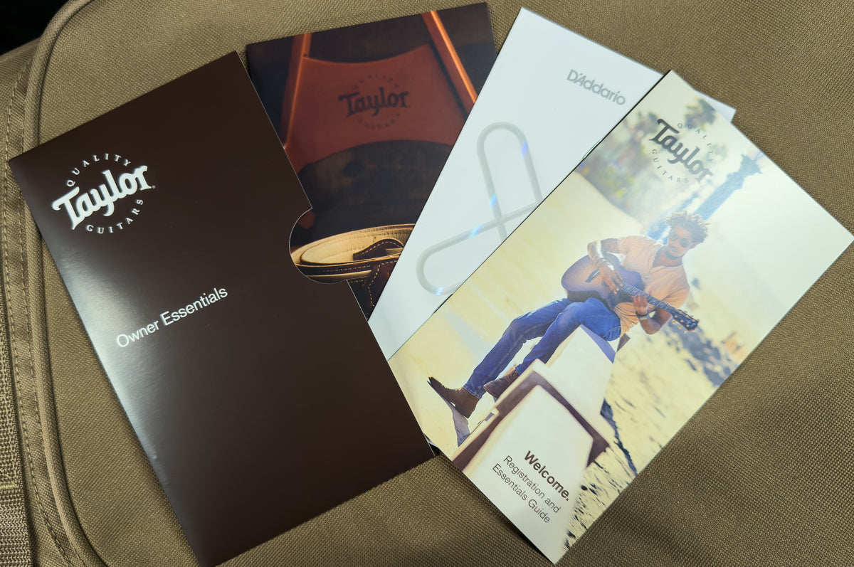 Taylor GS Mini E Mahogany (362)