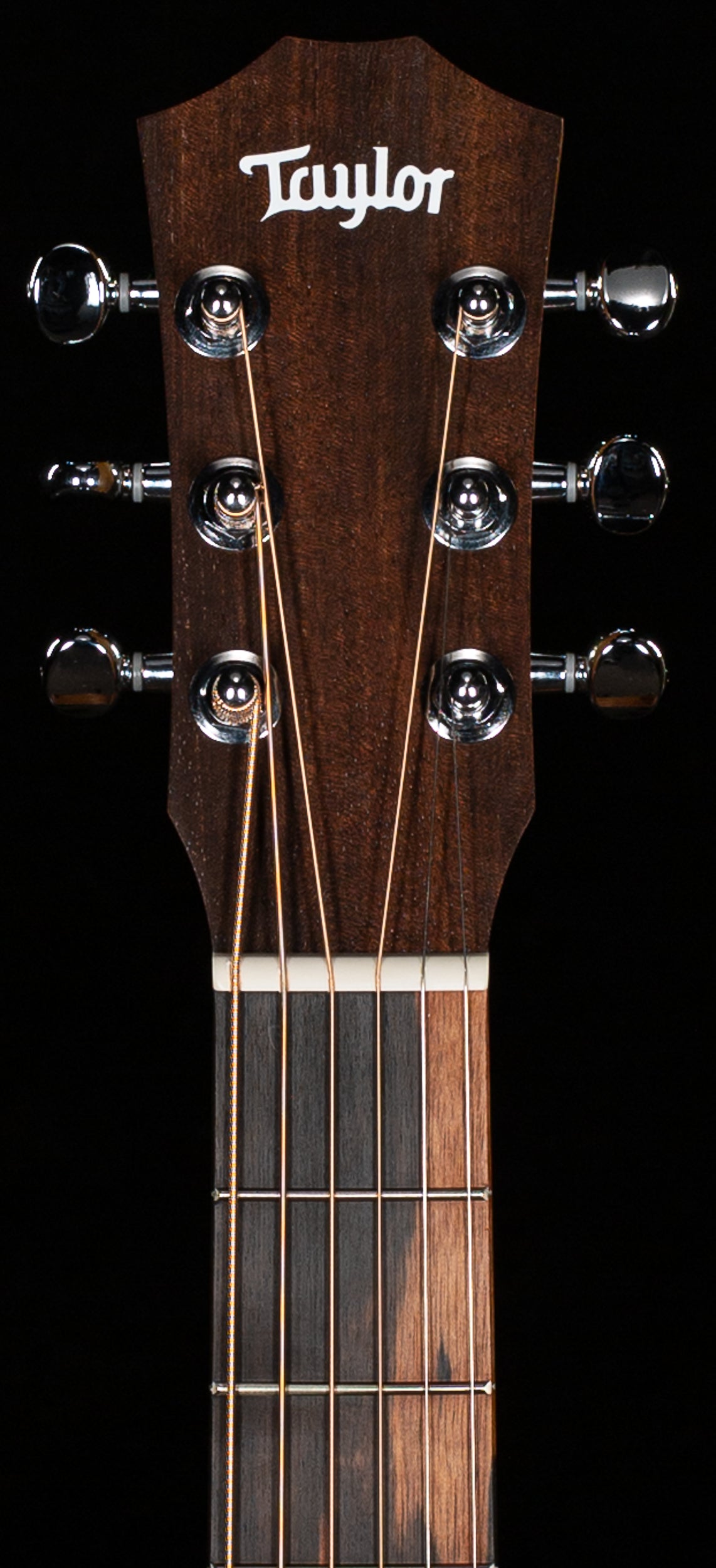 Taylor Baby Taylor 2 Mahogany (033)