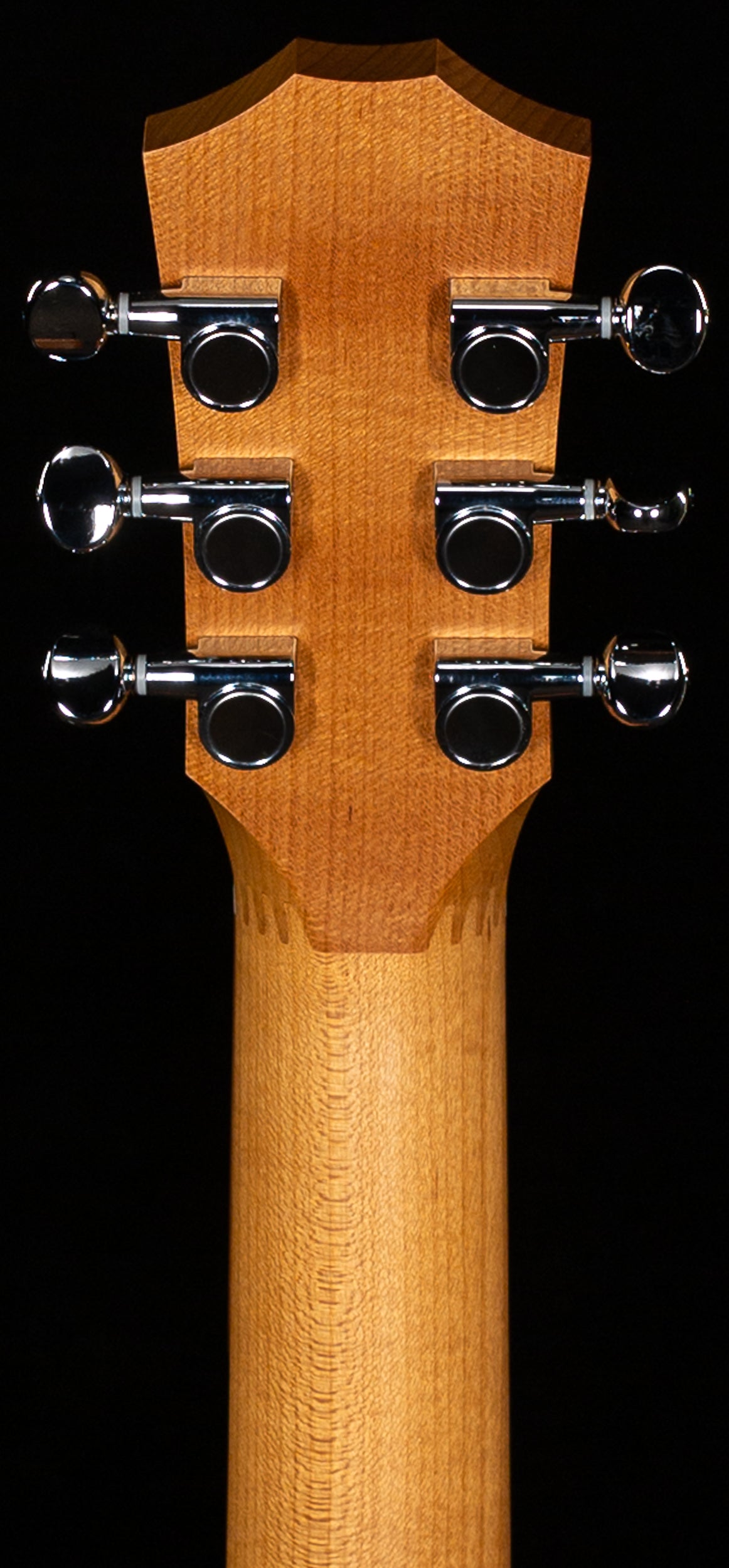 Taylor Baby Taylor 2 Mahogany (033)