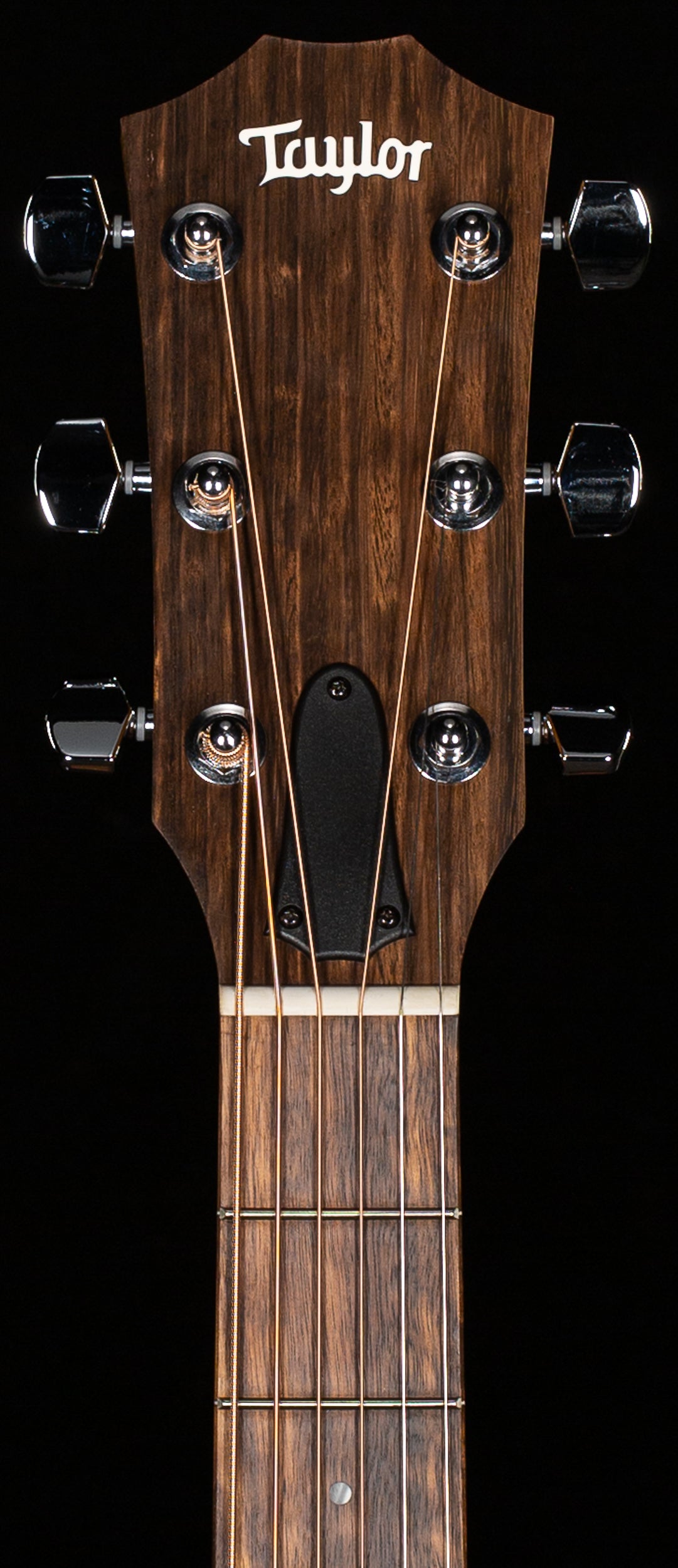 Taylor 117e Sapele/Spruce (148)