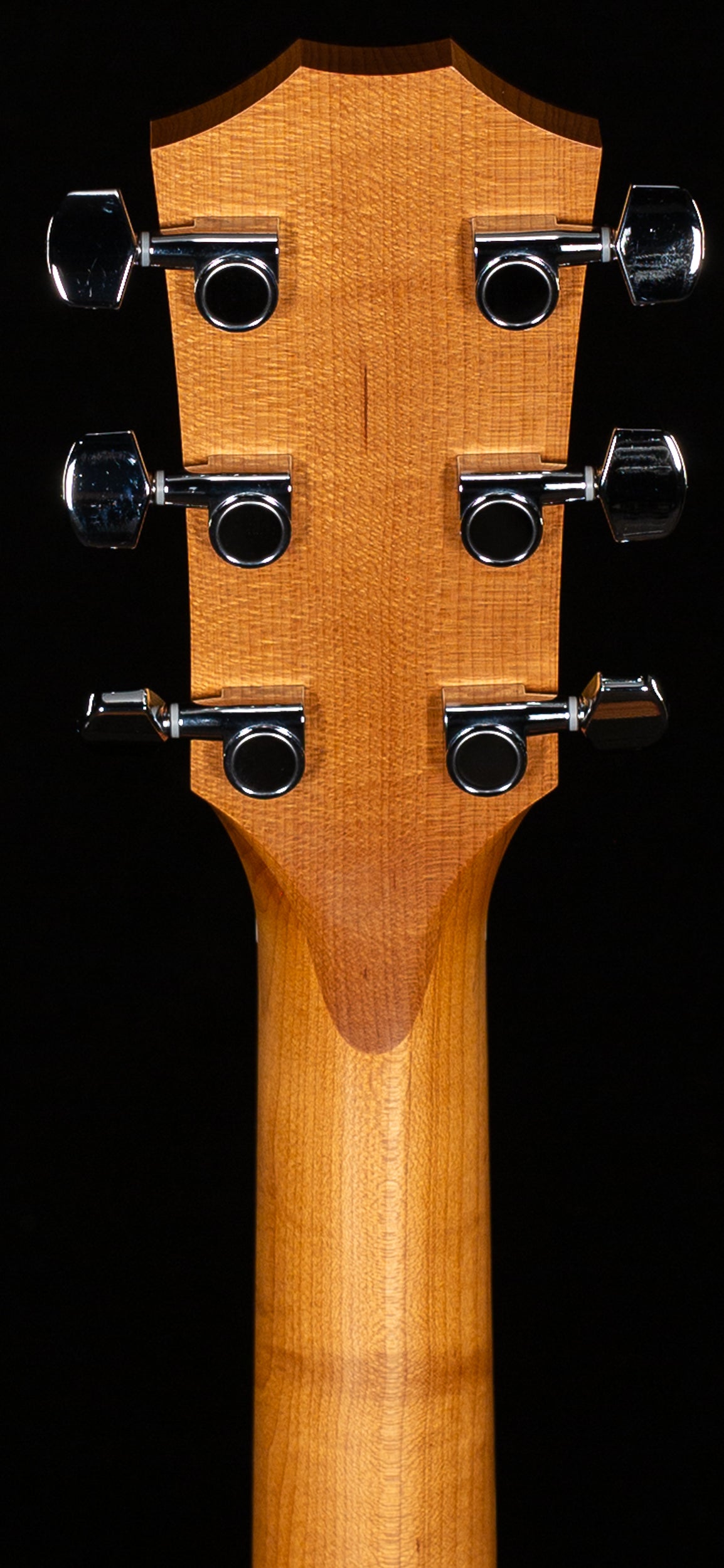 Taylor 117e Sapele/Spruce (148)