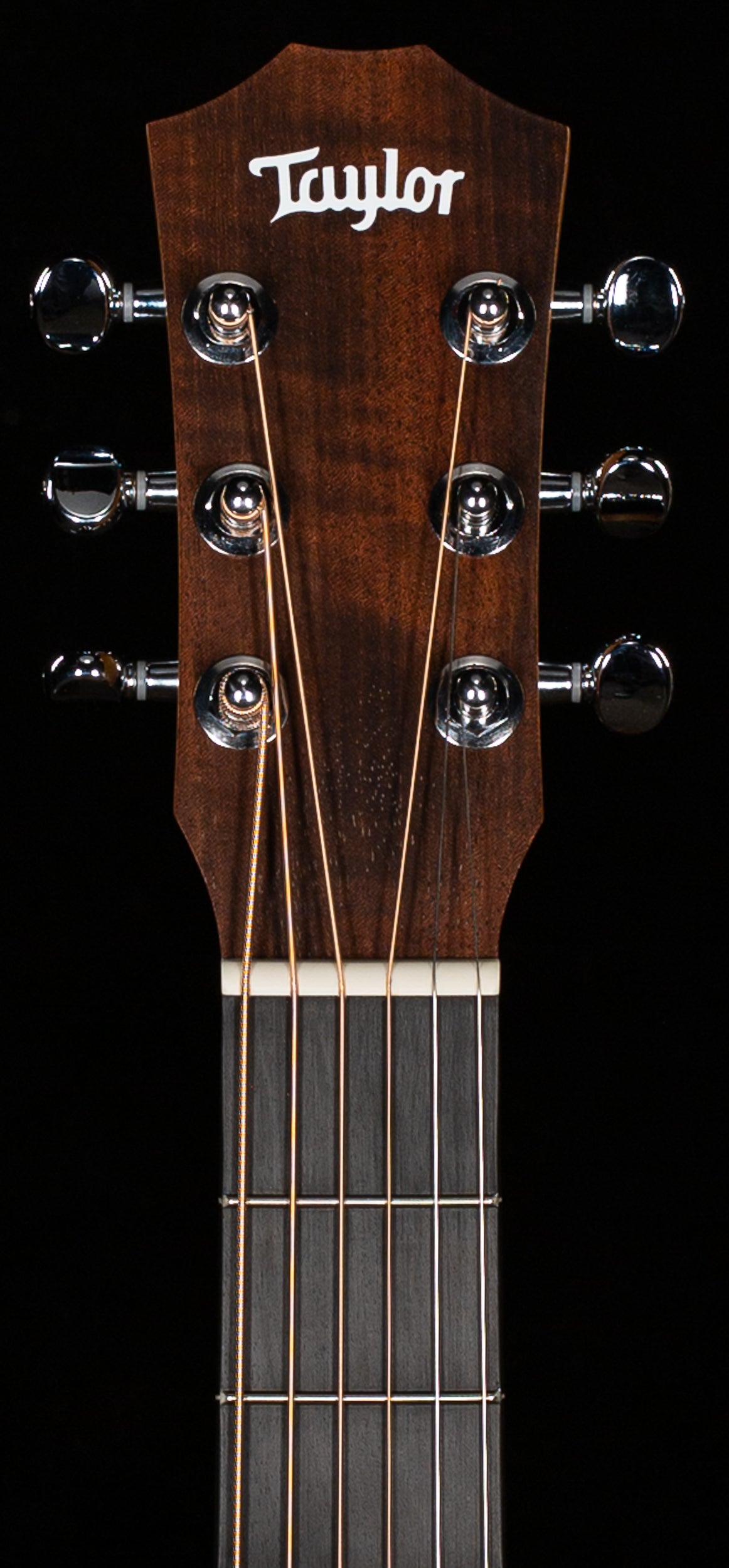 Taylor Baby Taylor BT Koa E (161)