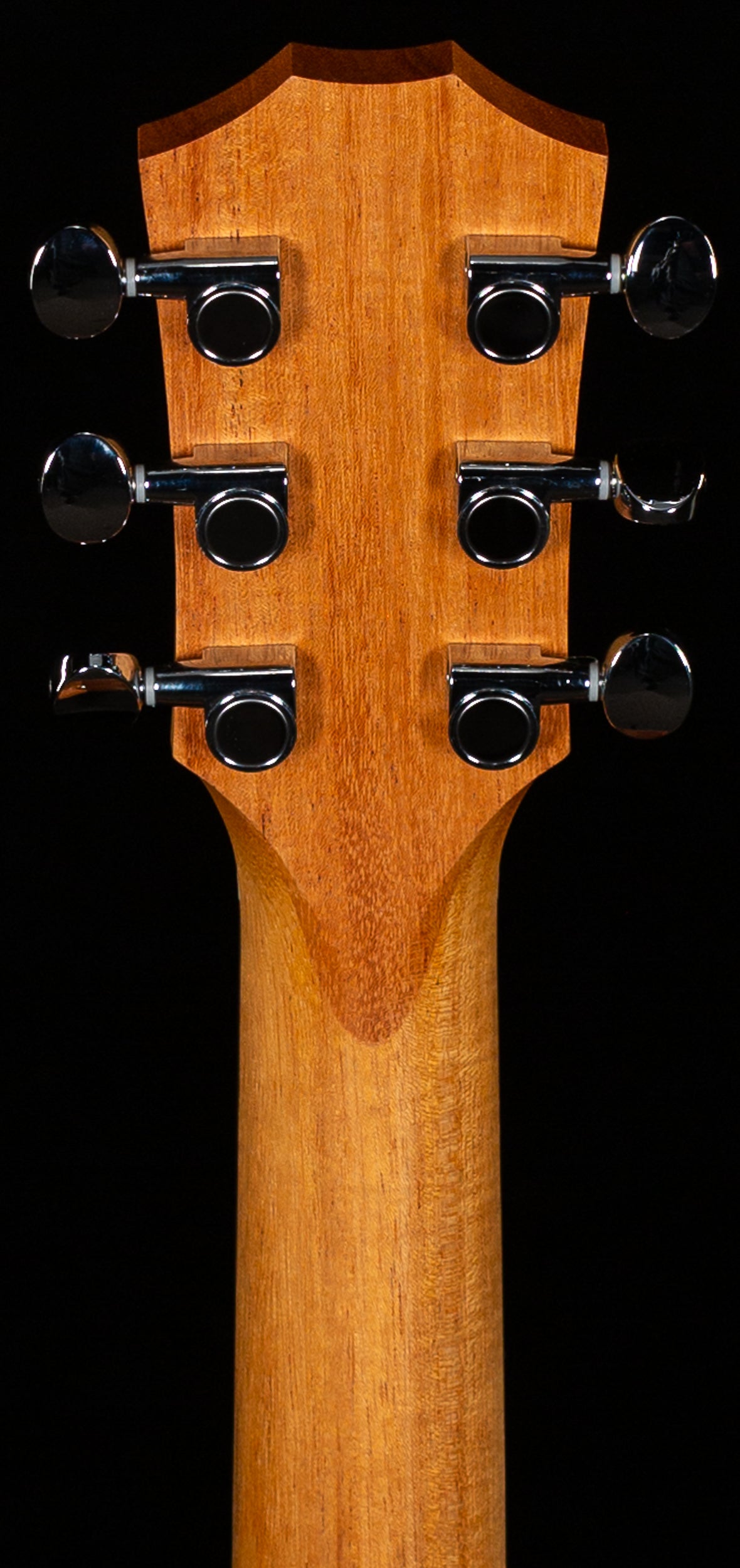 Taylor GS Mini Sapele(114)