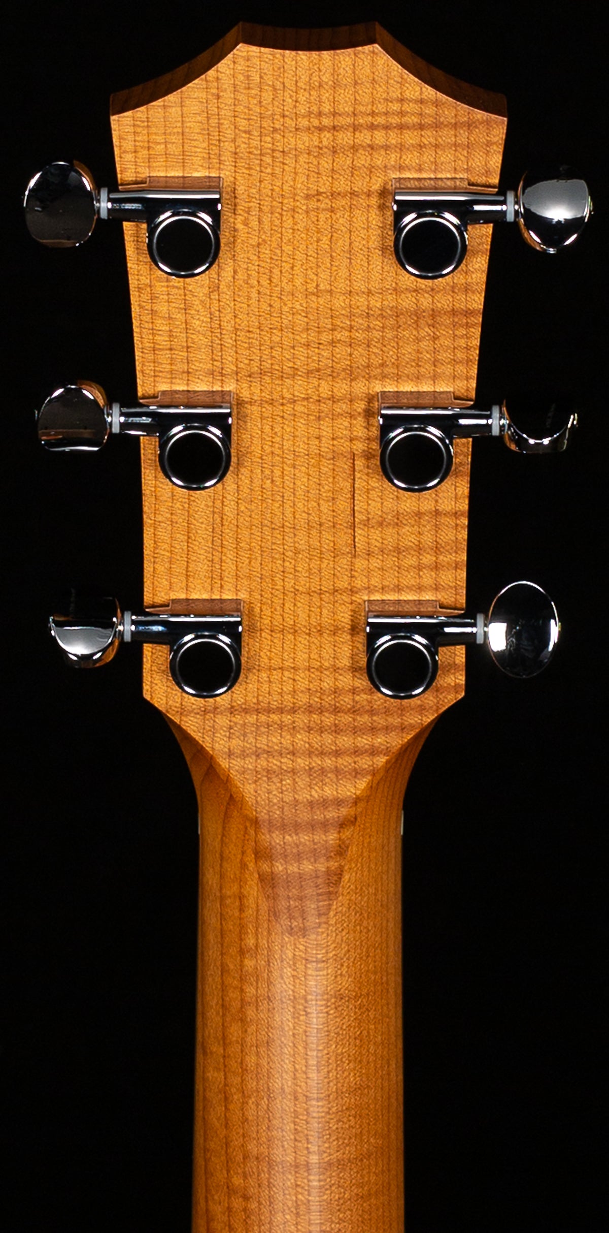 Taylor Big Baby Taylor E Walnut (053)